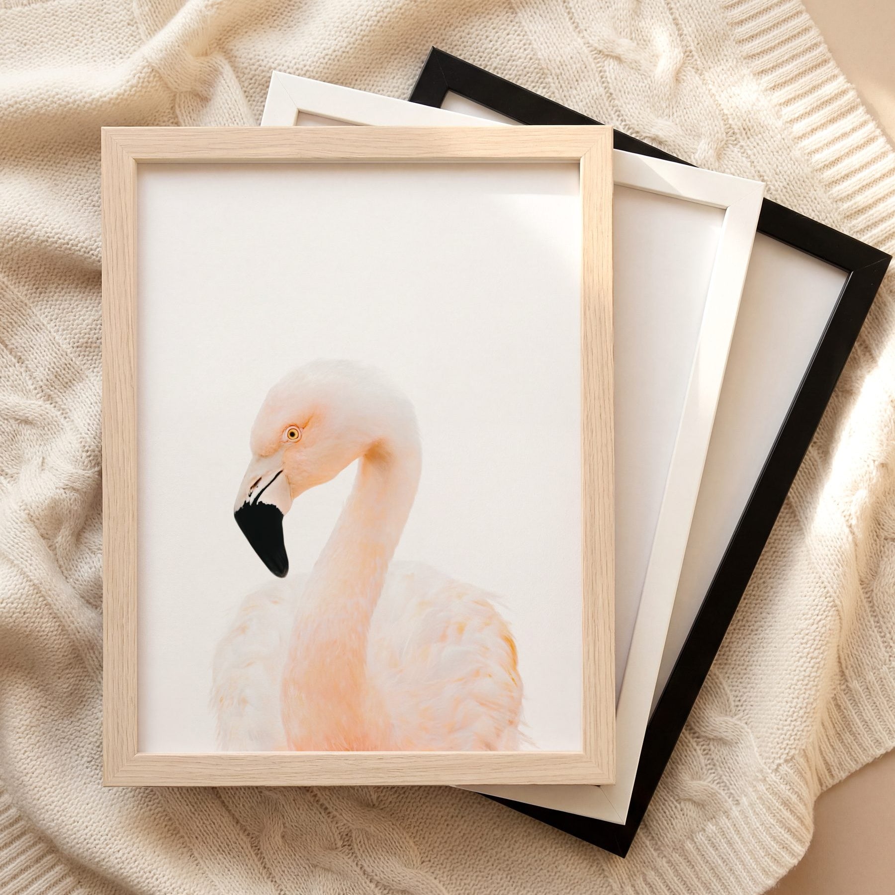 The Baby Animals 2026 Collection