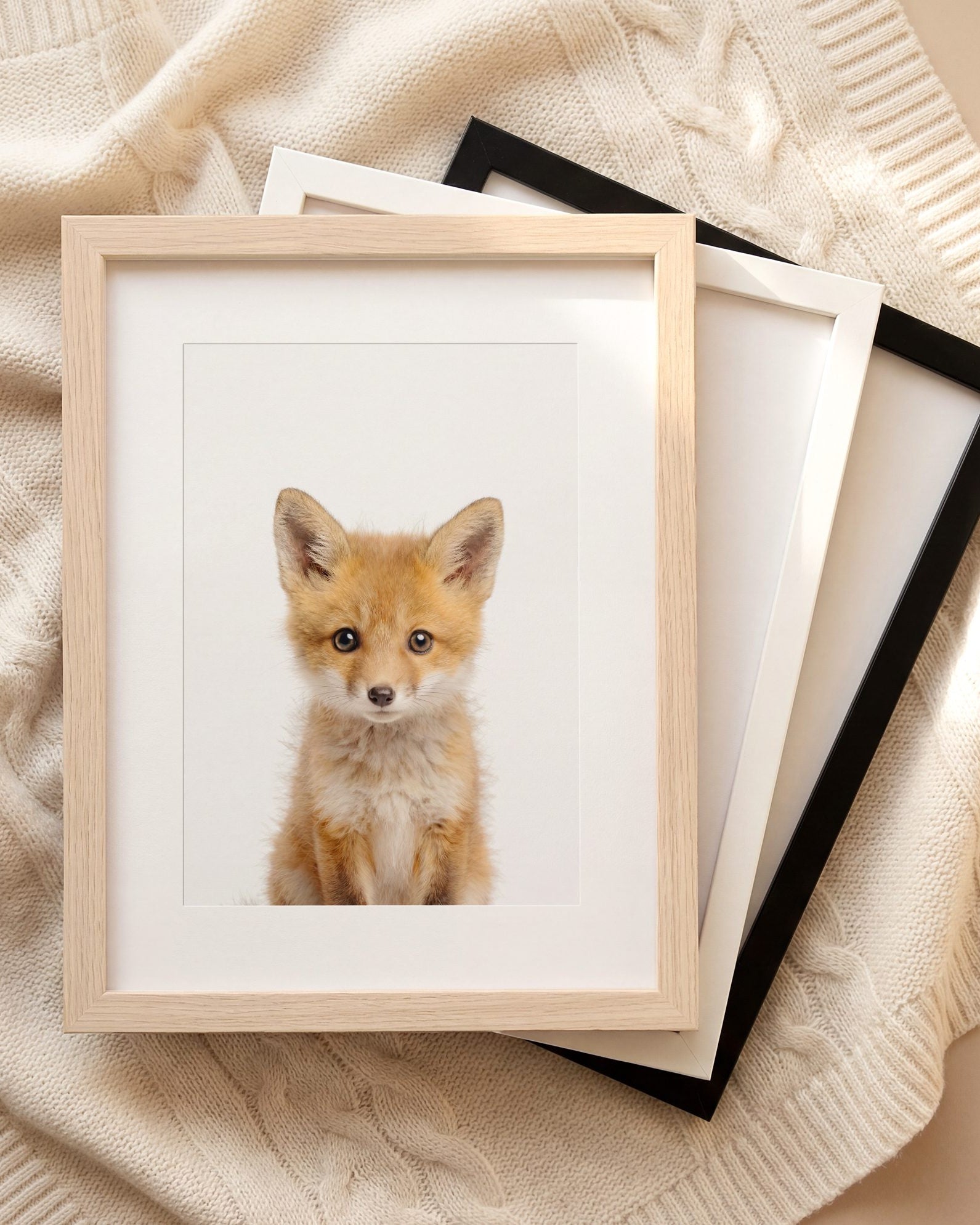 The Baby Animals 2026 Collection