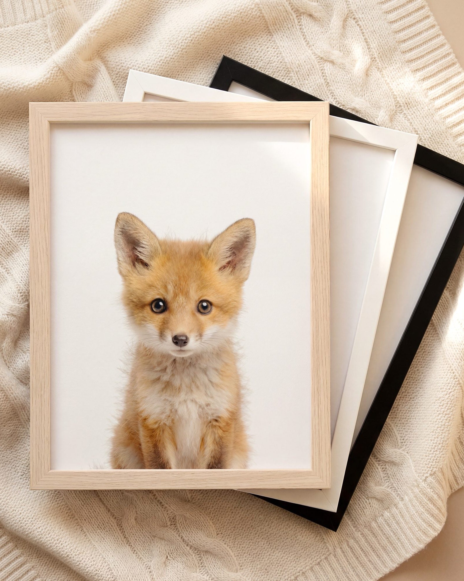 The Baby Animals 2026 Collection