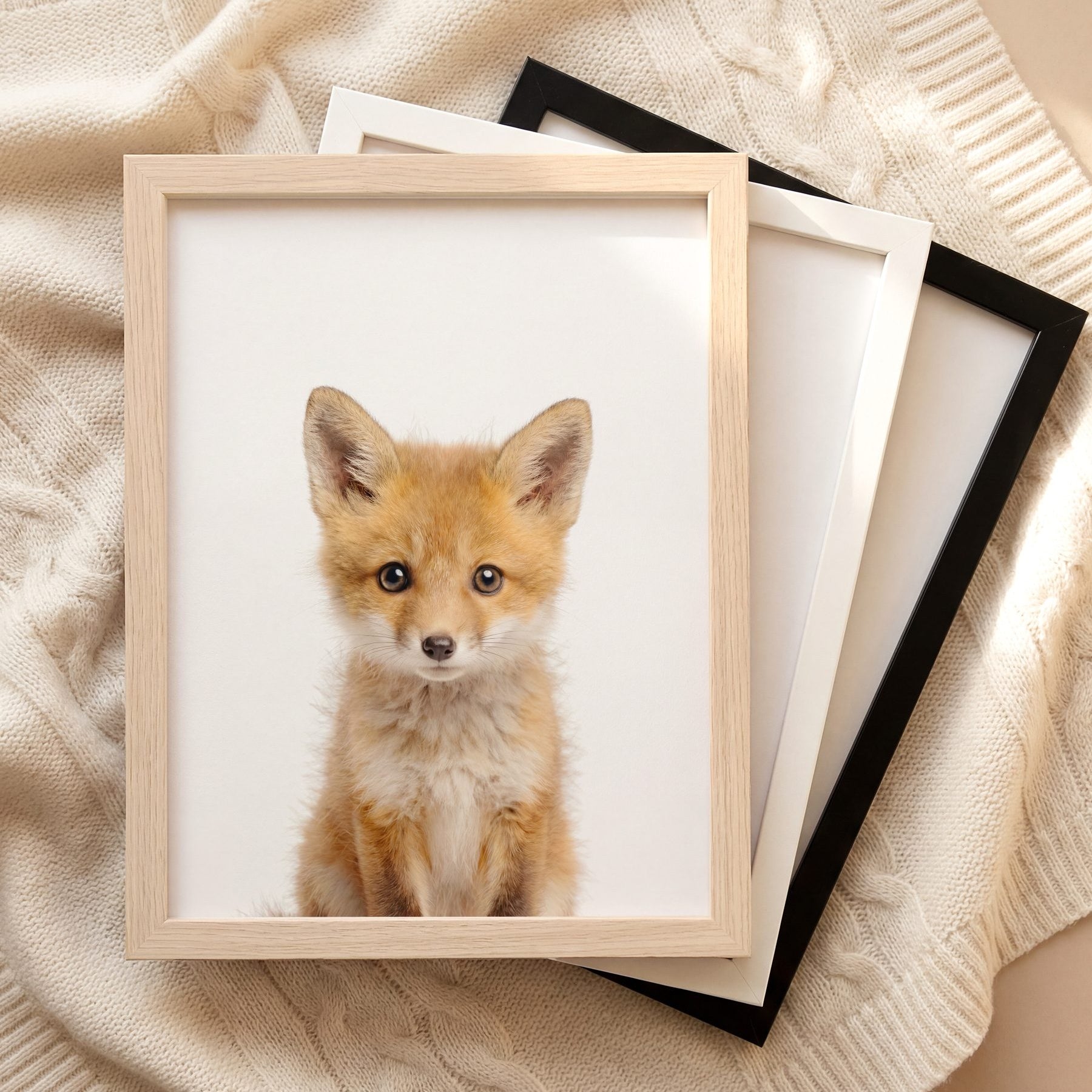 The Baby Animals 2026 Collection