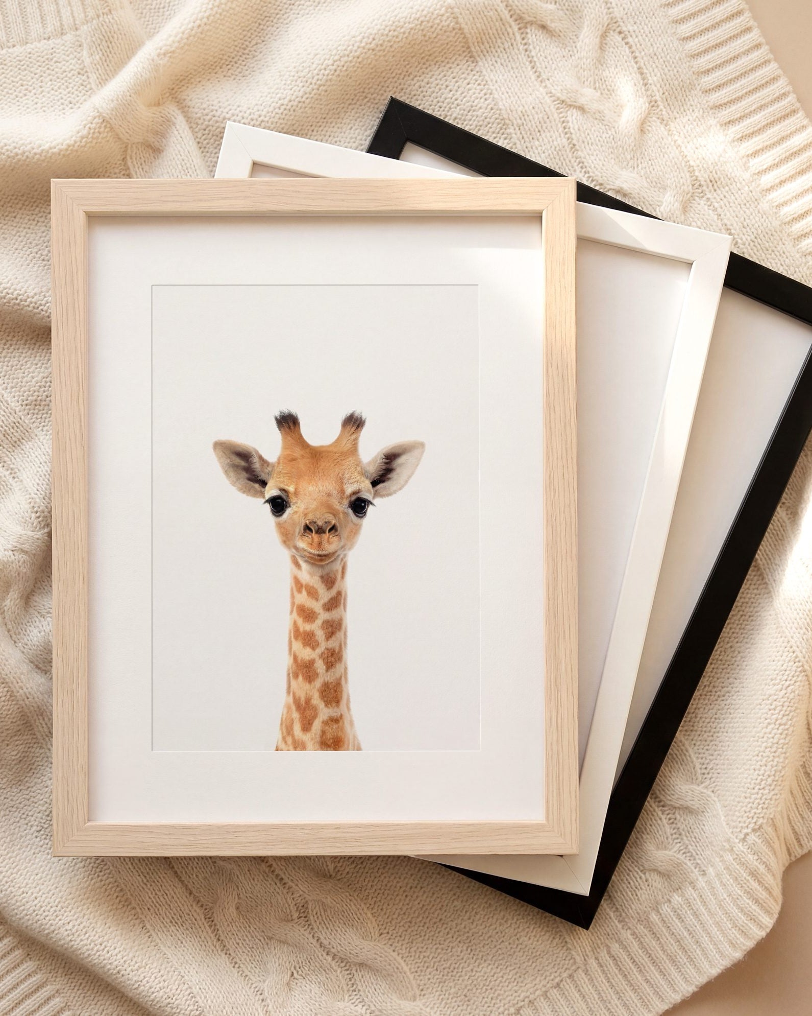 The Baby Animals 2026 Collection