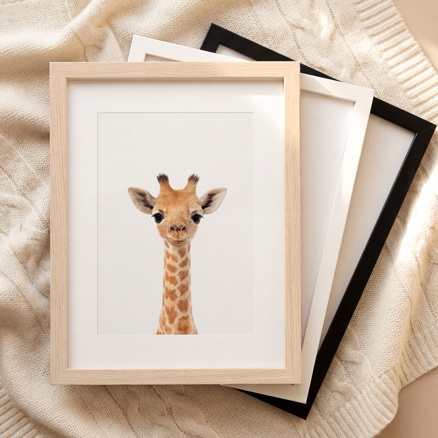 The Baby Animals 2026 Collection