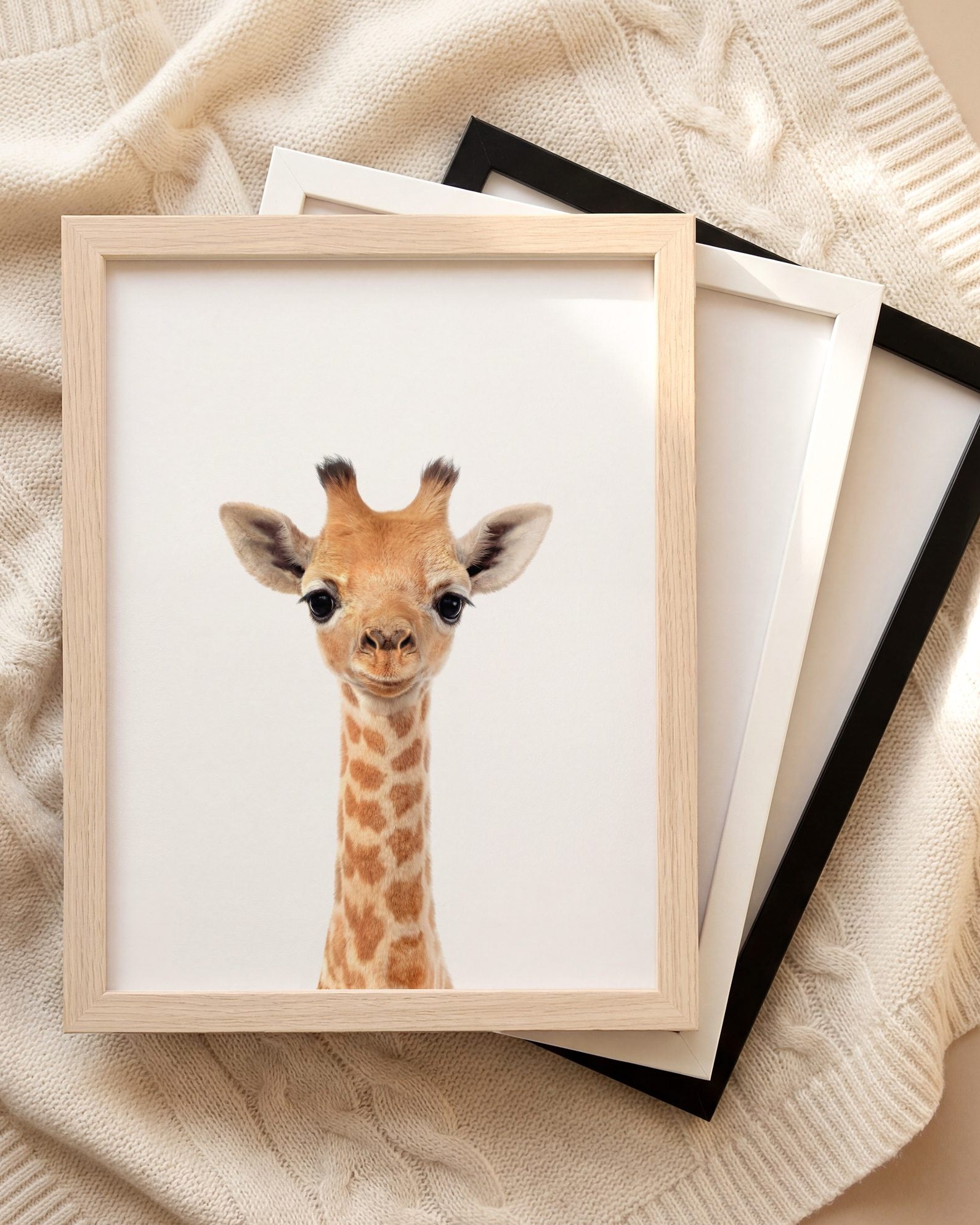 The Baby Animals 2026 Collection