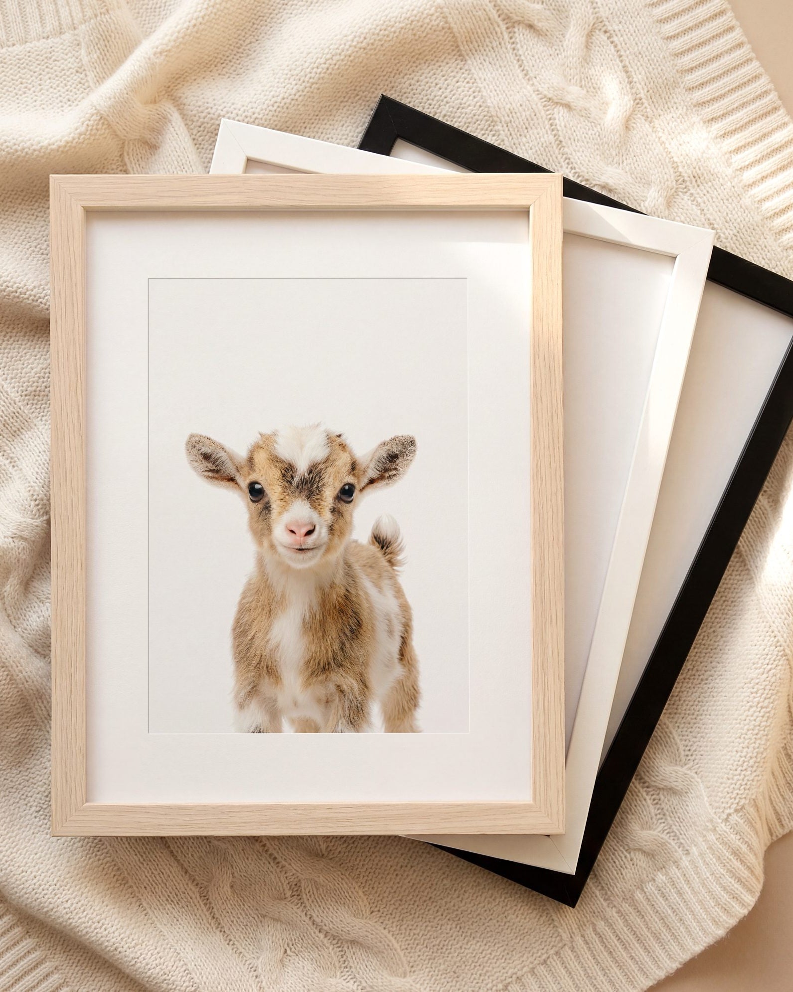 The Baby Animals 2026 Collection