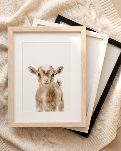 The Baby Animals 2026 Collection