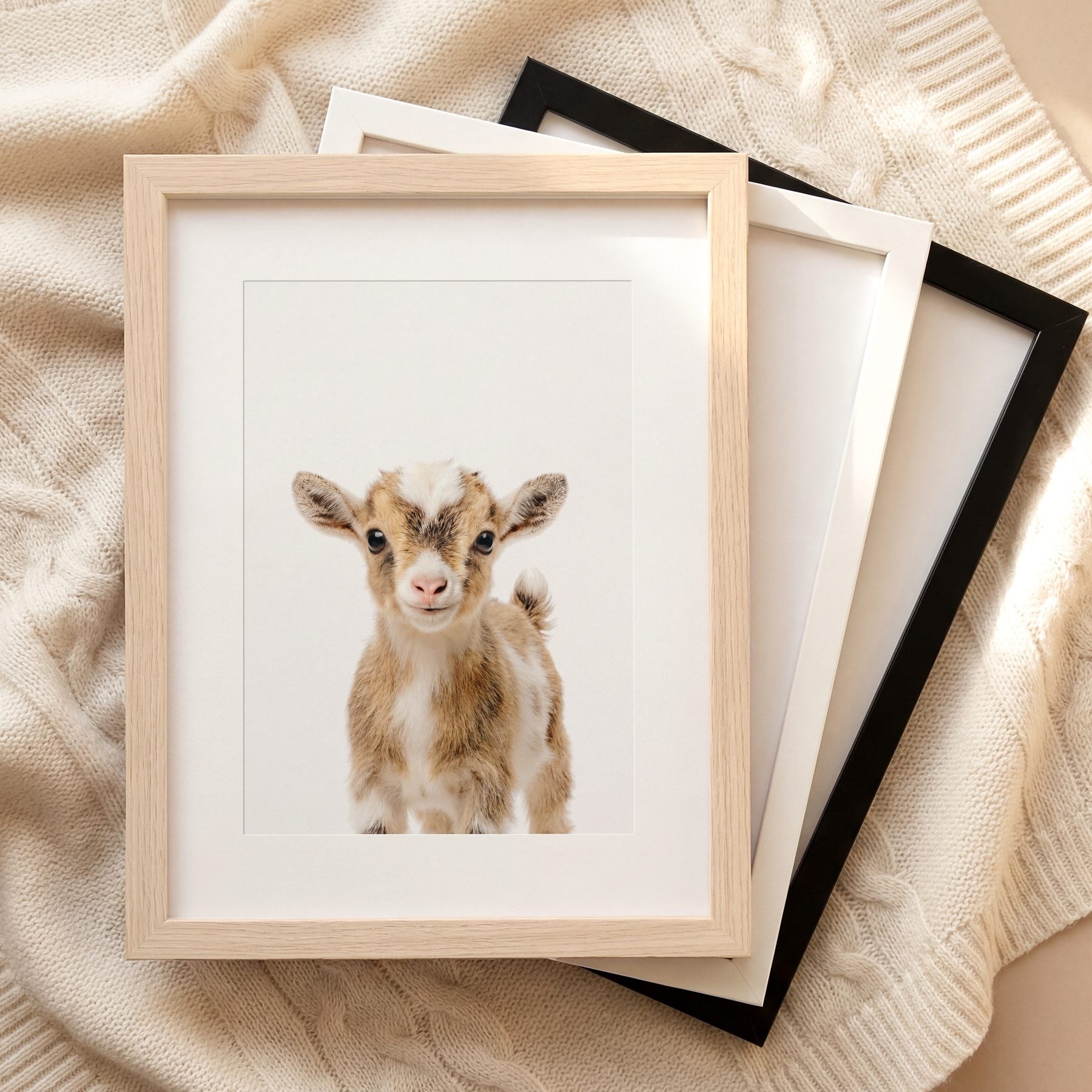 The Baby Animals 2026 Collection