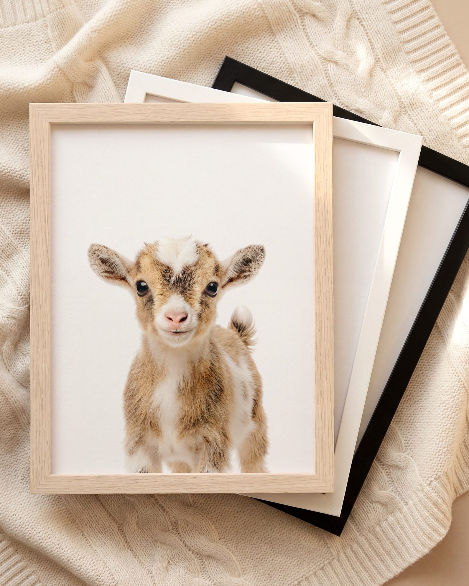 The Baby Animals 2026 Collection