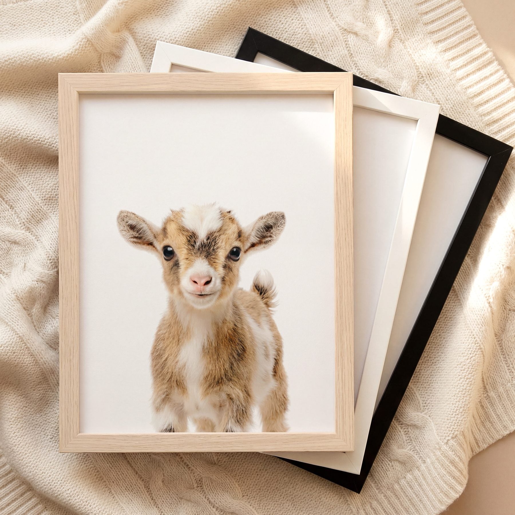 The Baby Animals 2026 Collection