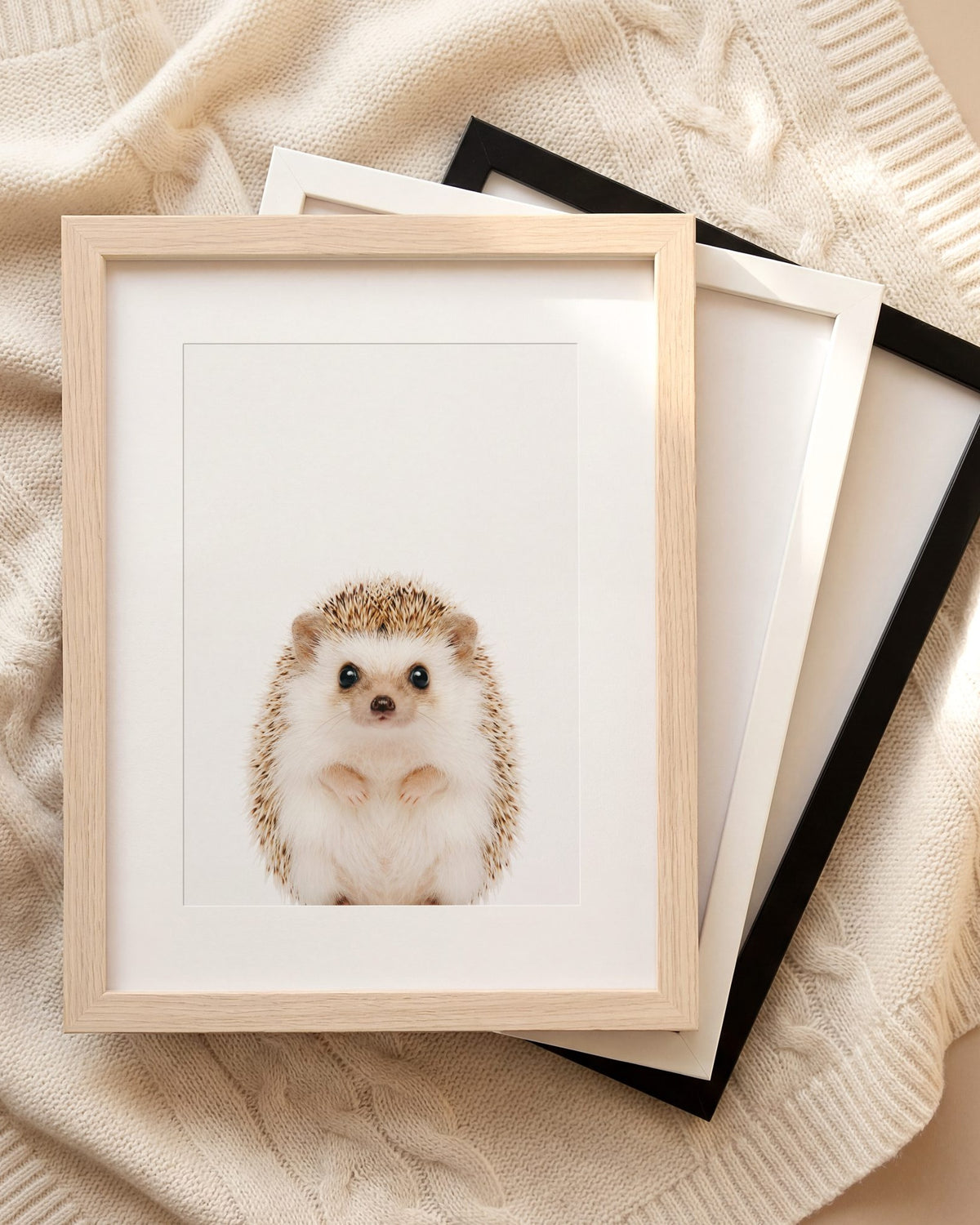The Baby Animals 2026 Collection