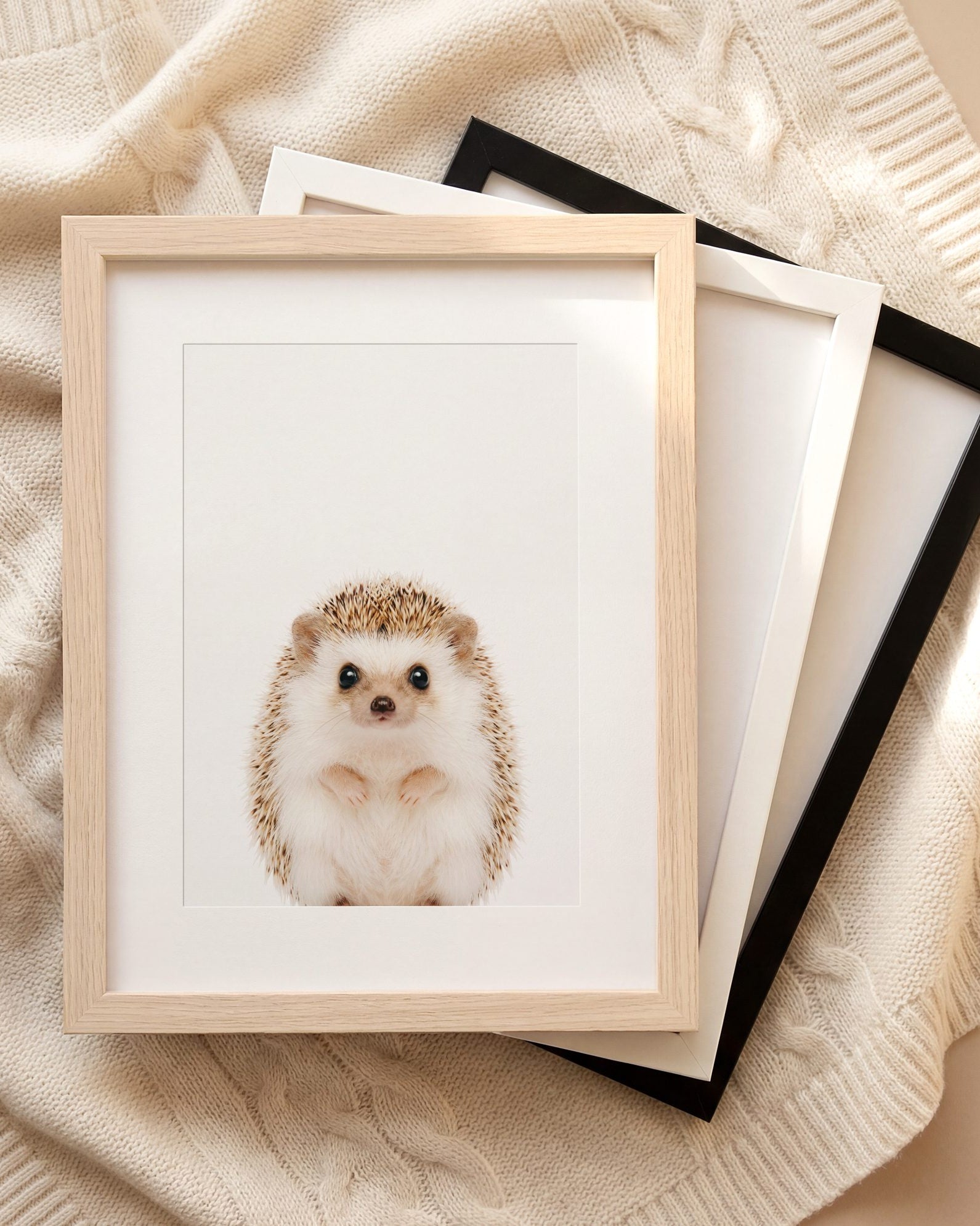 The Baby Animals 2026 Collection