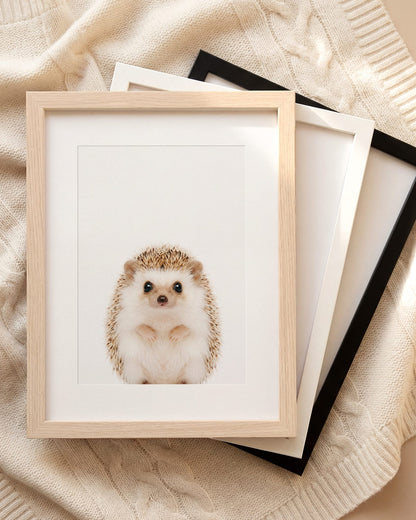 The Baby Animals 2026 Collection
