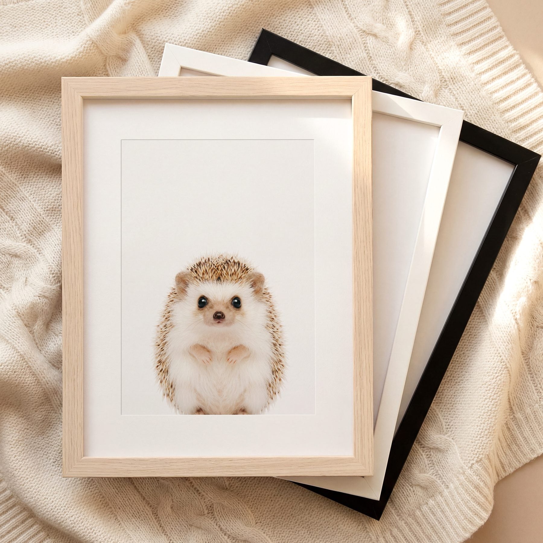 The Baby Animals 2026 Collection