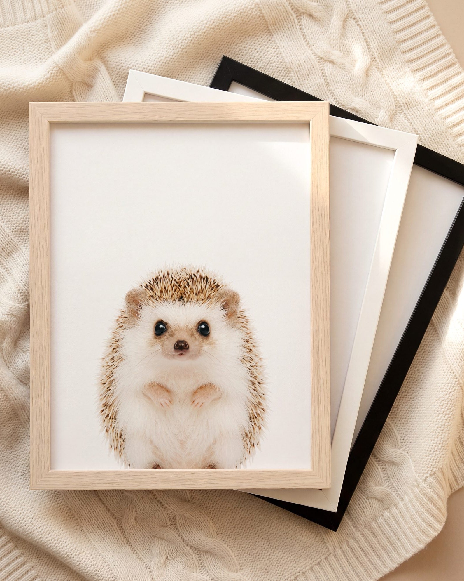 The Baby Animals 2026 Collection