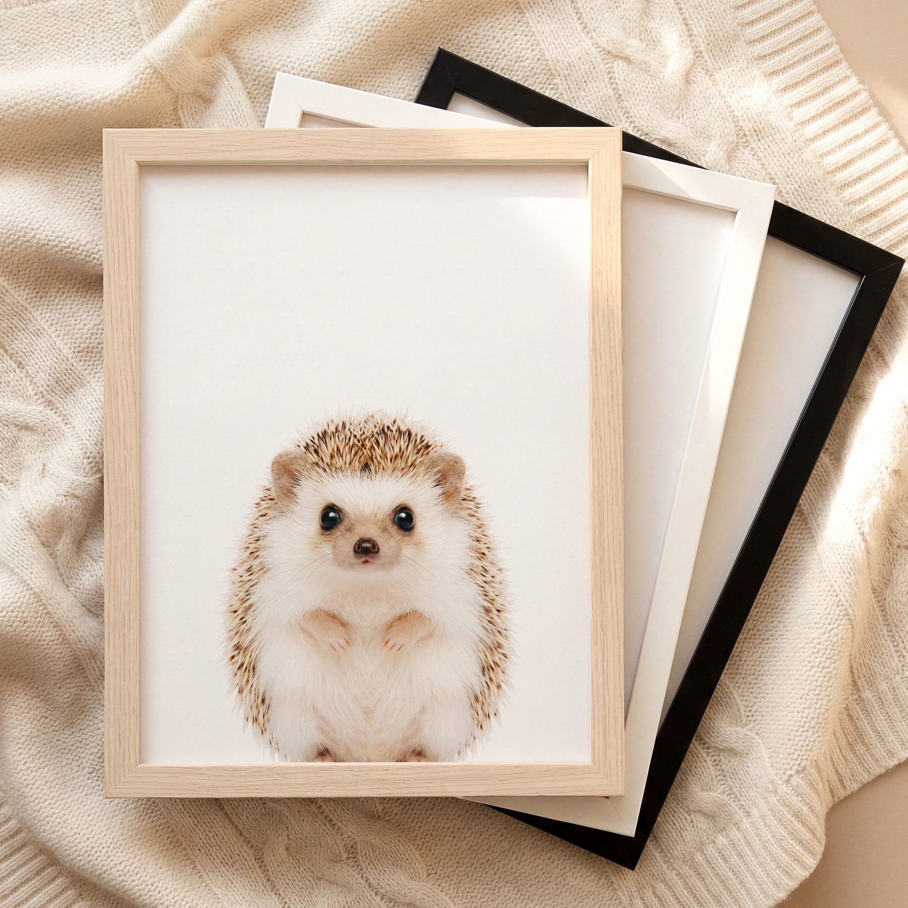 The Baby Animals 2026 Collection
