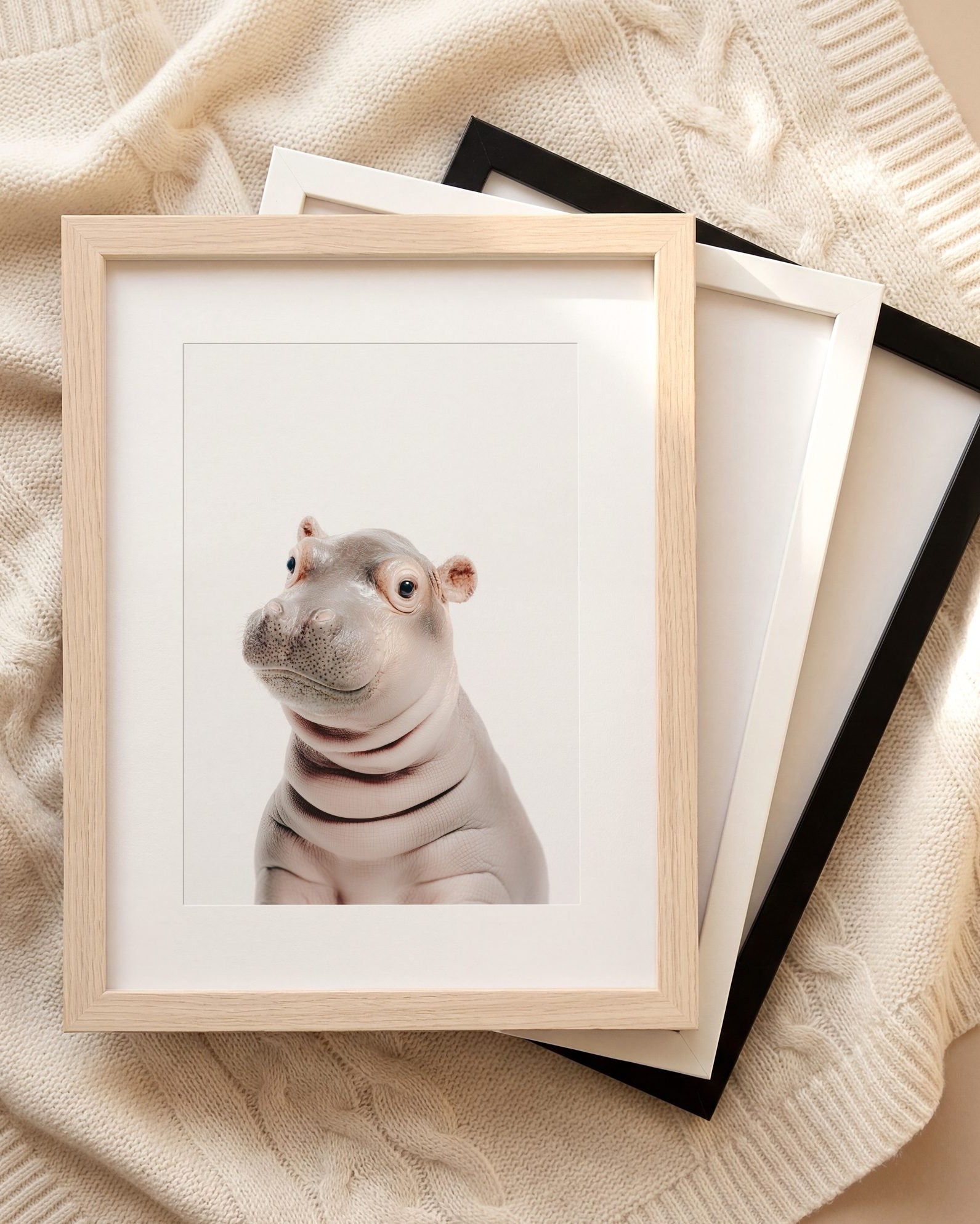 The Baby Animals 2026 Collection