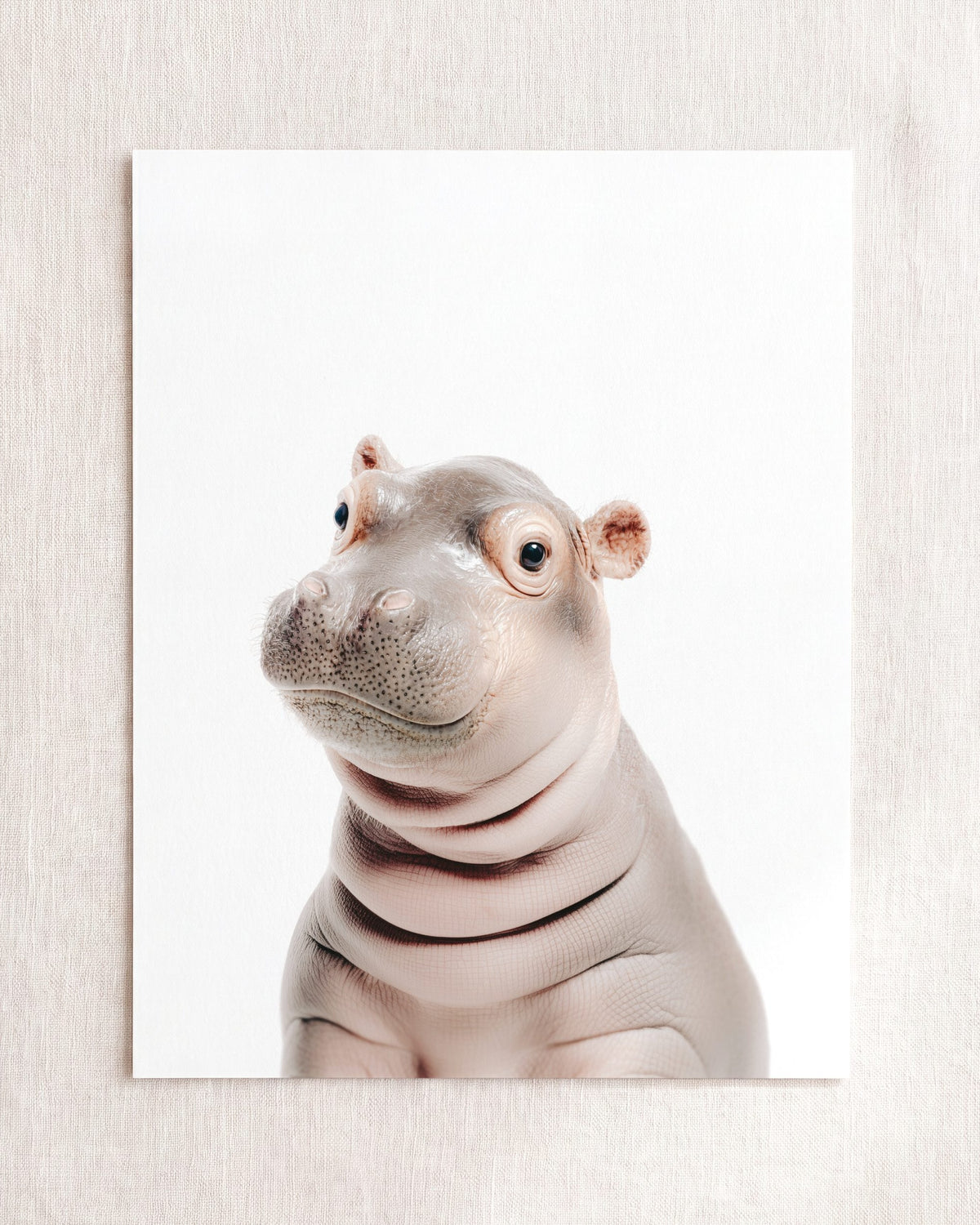 The Baby Animals 2026 Collection