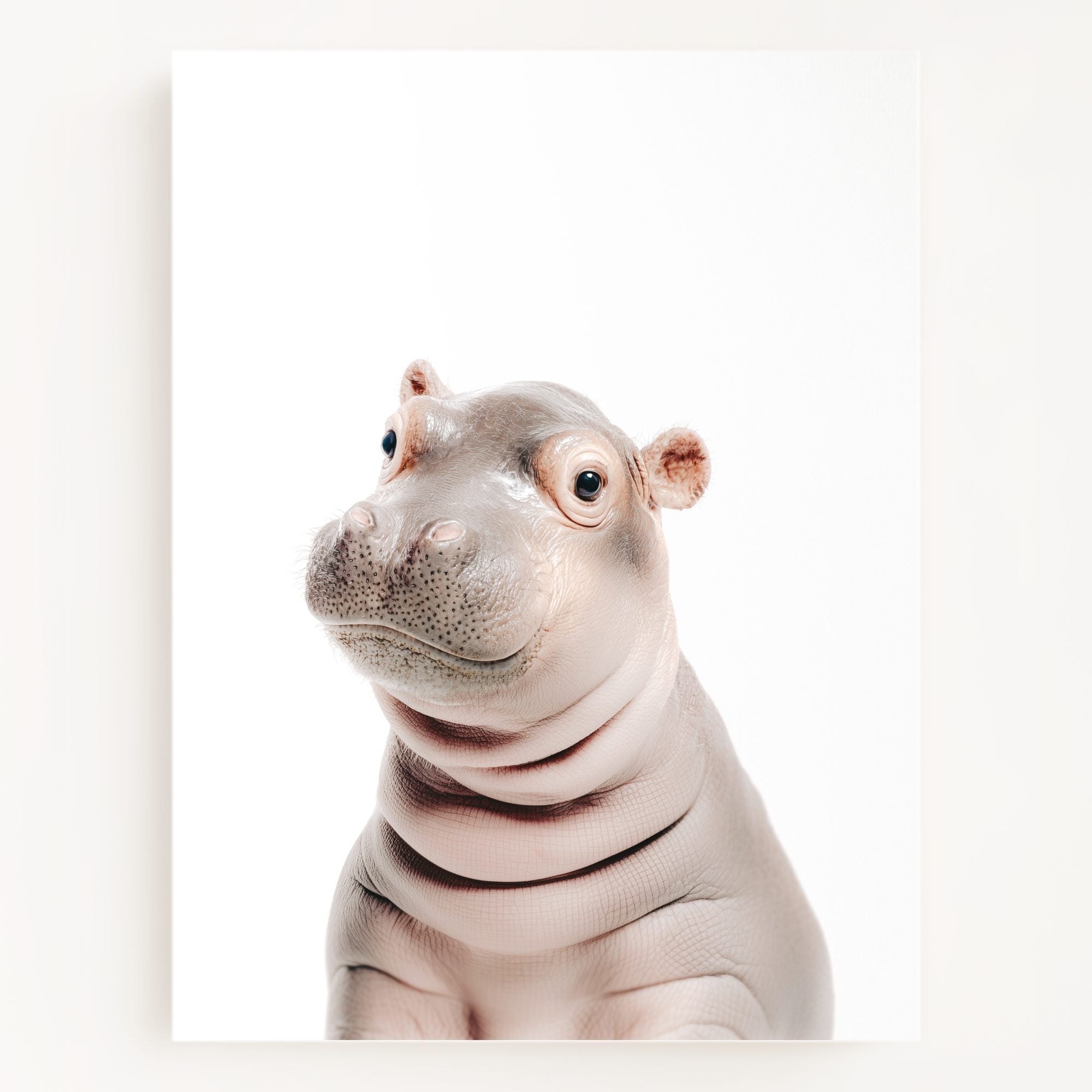 The Baby Animals 2026 Collection