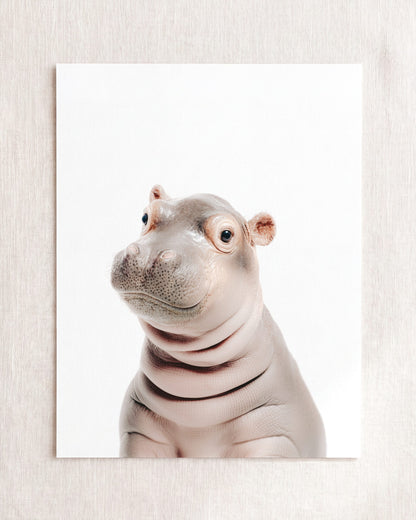 The Baby Animals 2026 Collection