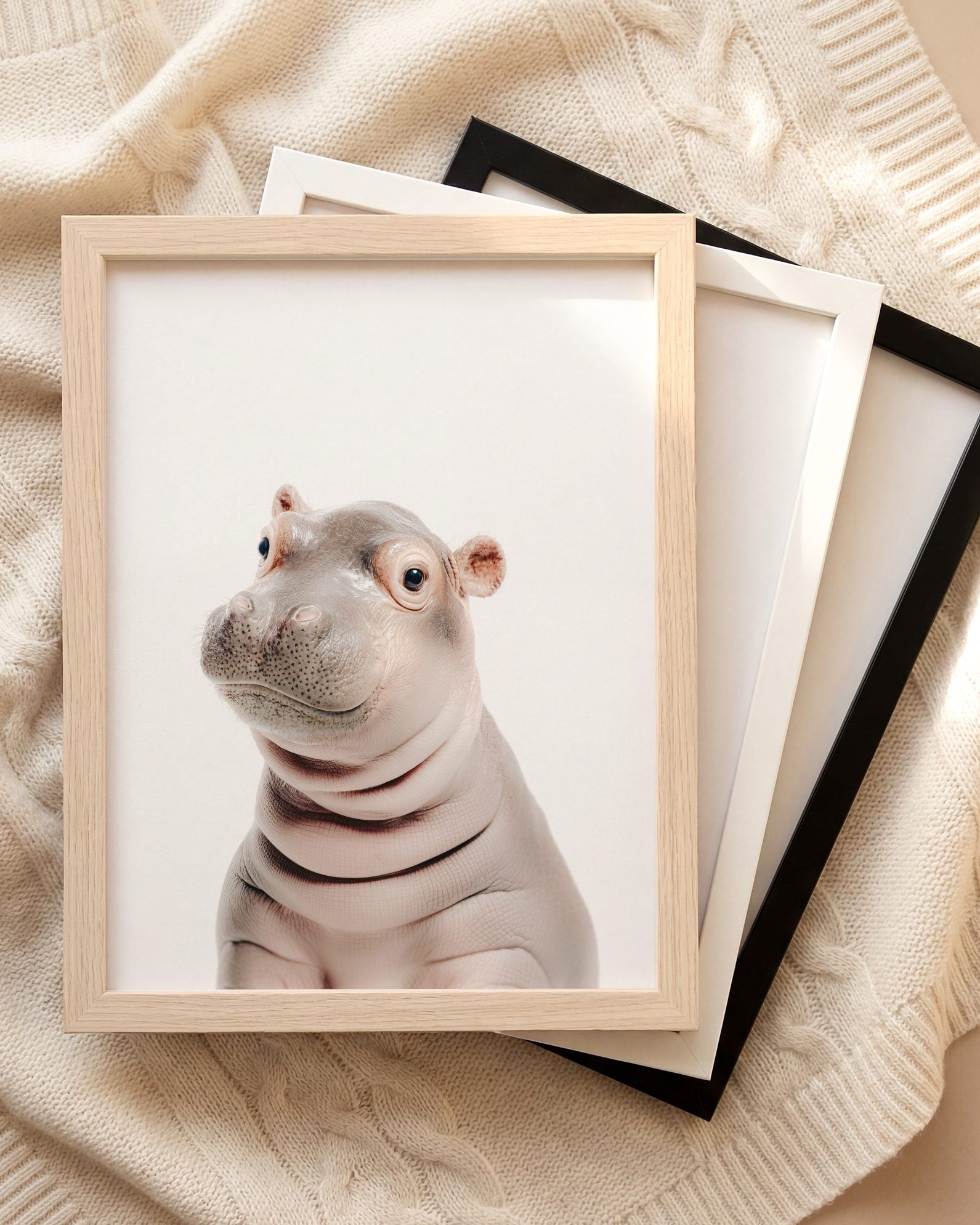 The Baby Animals 2026 Collection