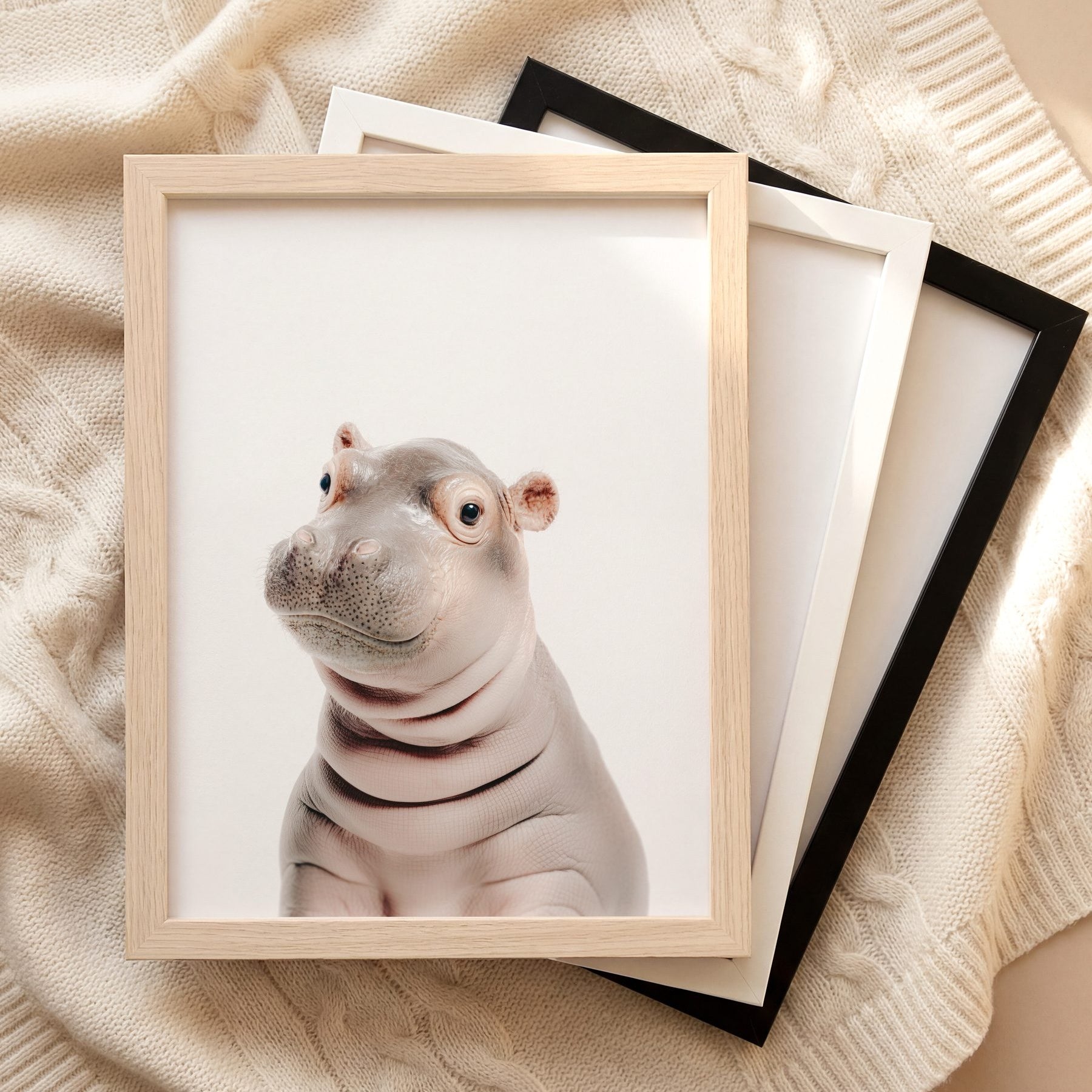 The Baby Animals 2026 Collection
