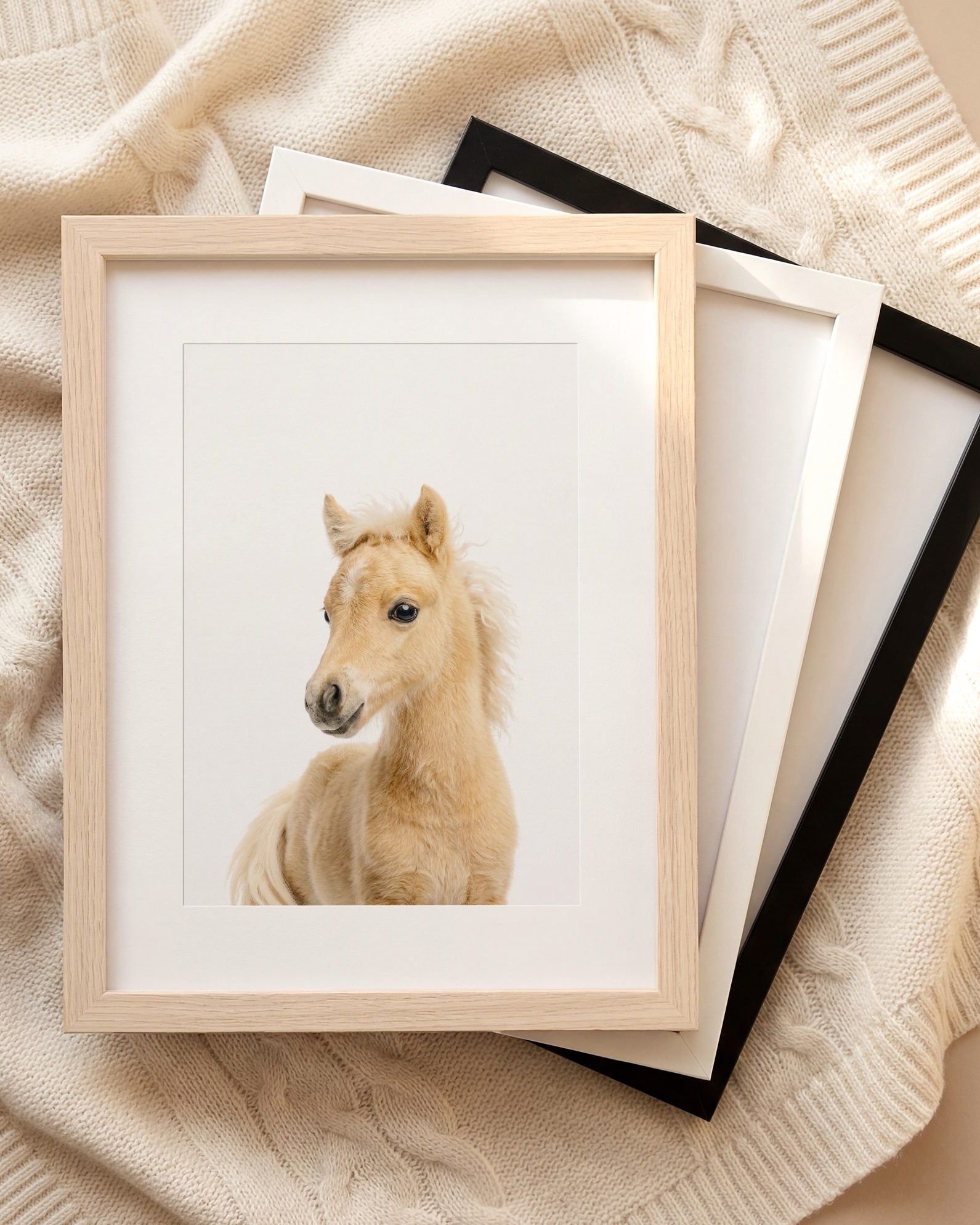 The Baby Animals 2026 Collection