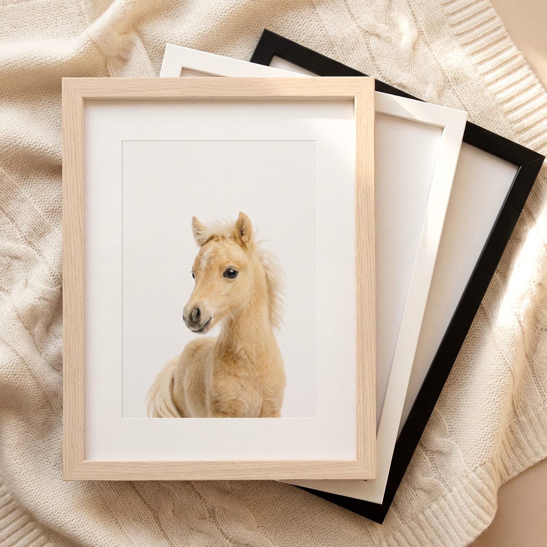 The Baby Animals 2026 Collection