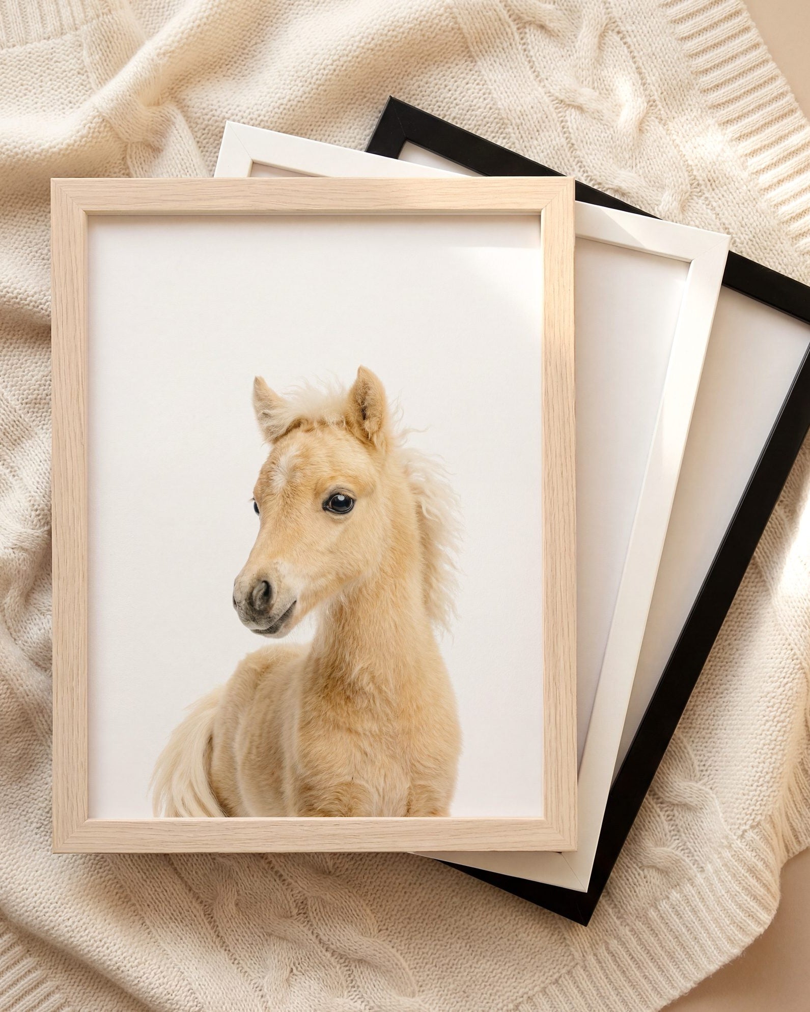 The Baby Animals 2026 Collection