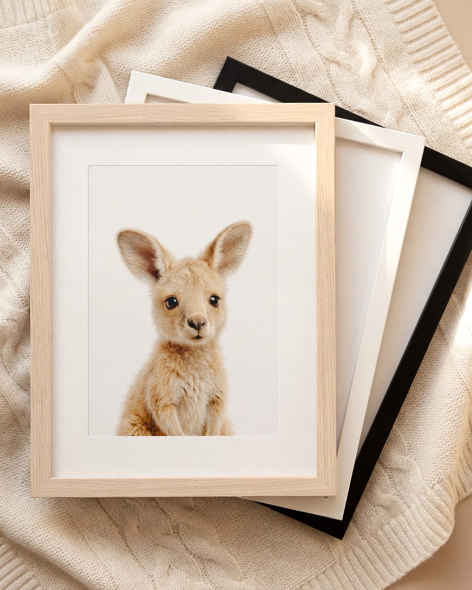The Baby Animals 2026 Collection
