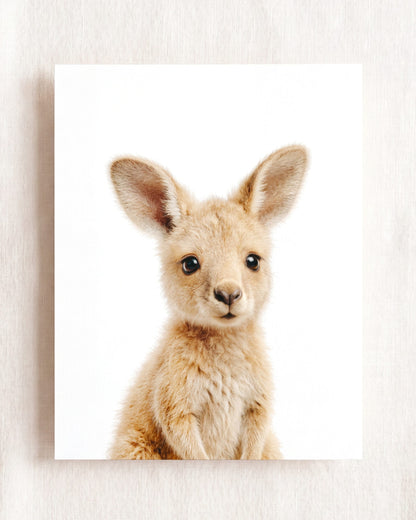 The Baby Animals 2026 Collection