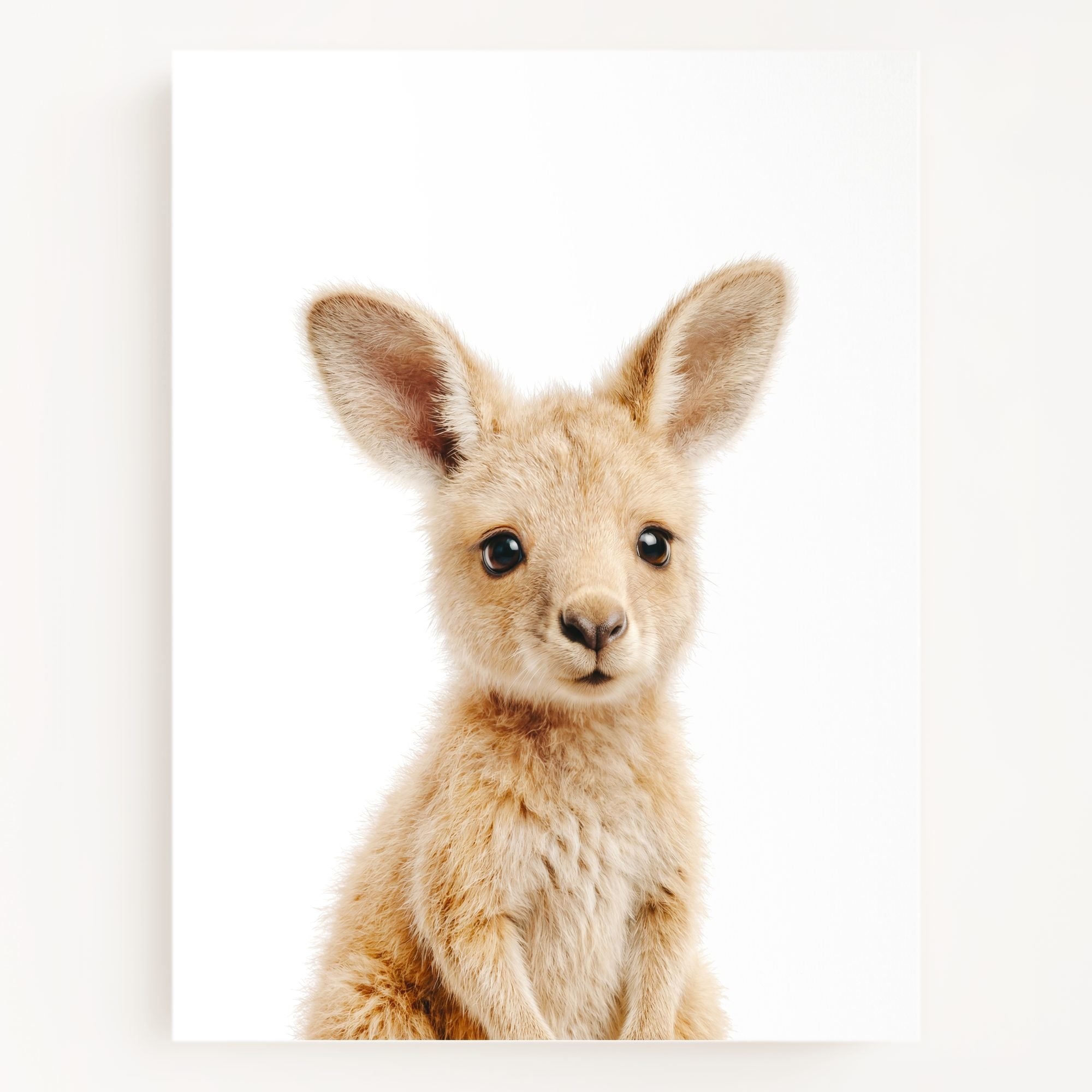 The Baby Animals 2026 Collection
