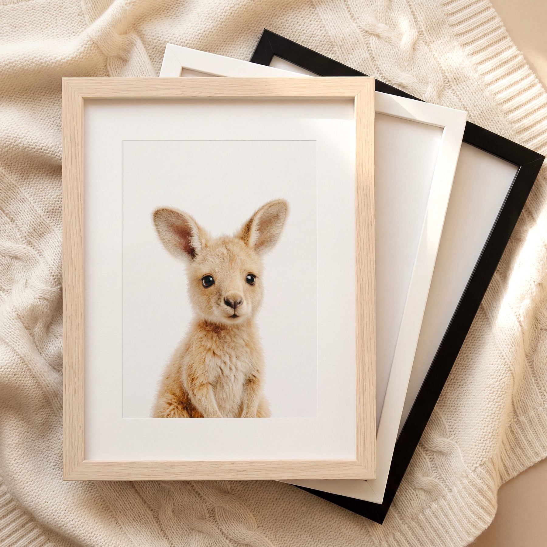 The Baby Animals 2026 Collection