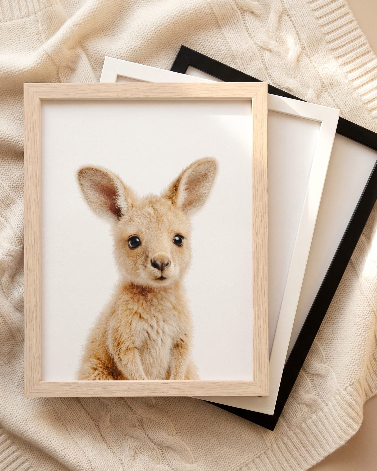 The Baby Animals 2026 Collection