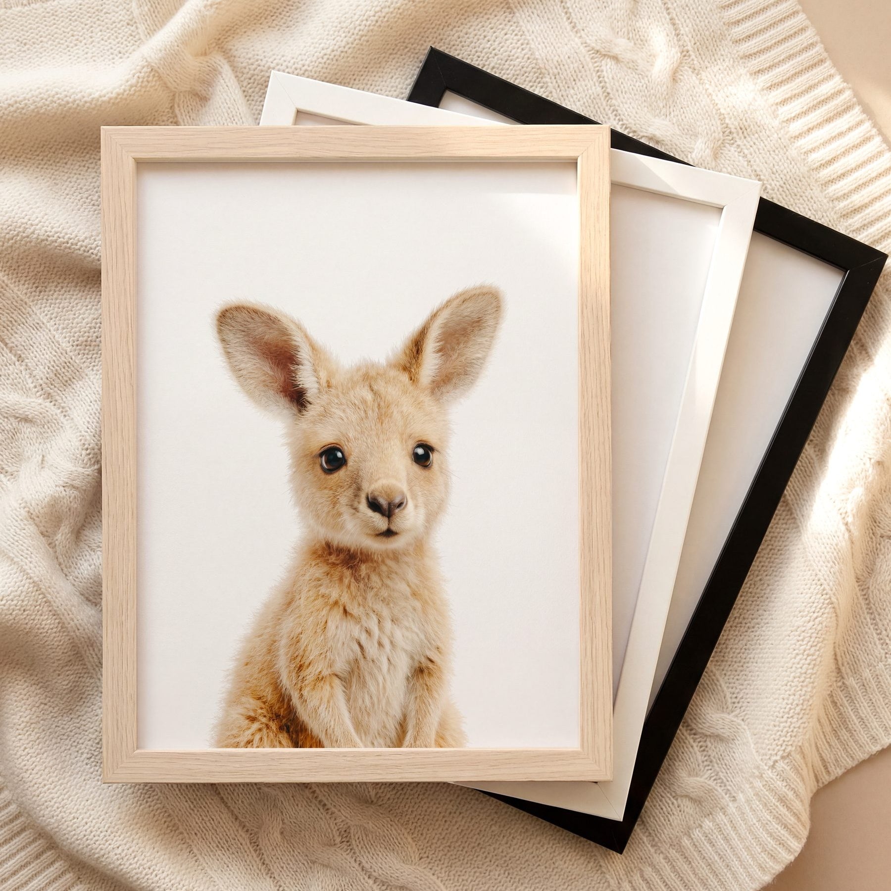 The Baby Animals 2026 Collection