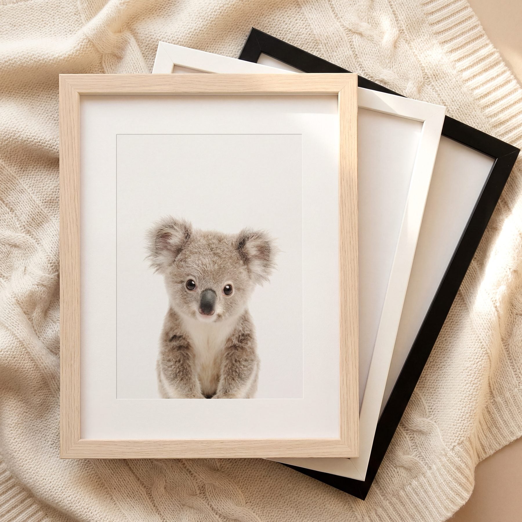 The Baby Animals 2026 Collection