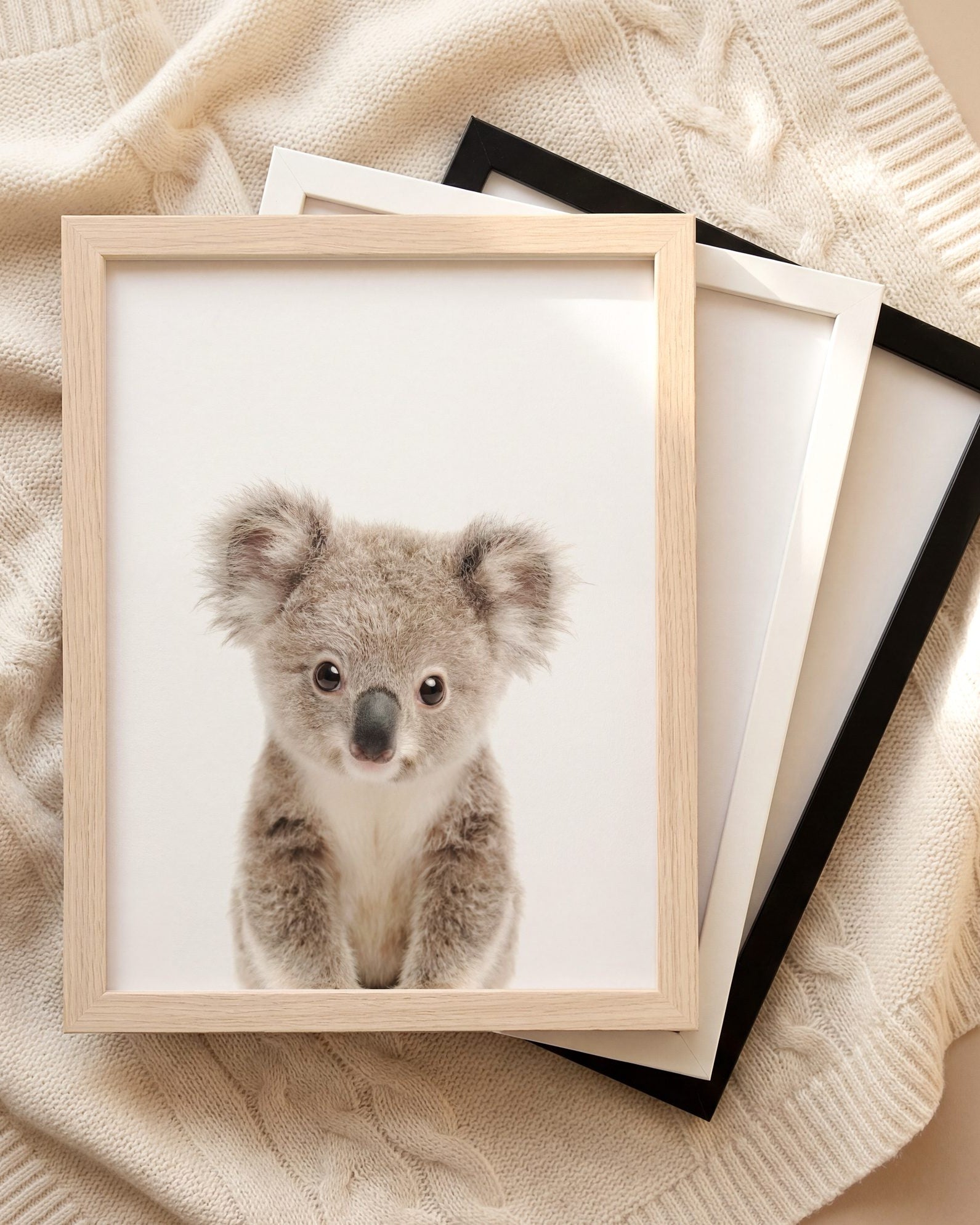 The Baby Animals 2026 Collection