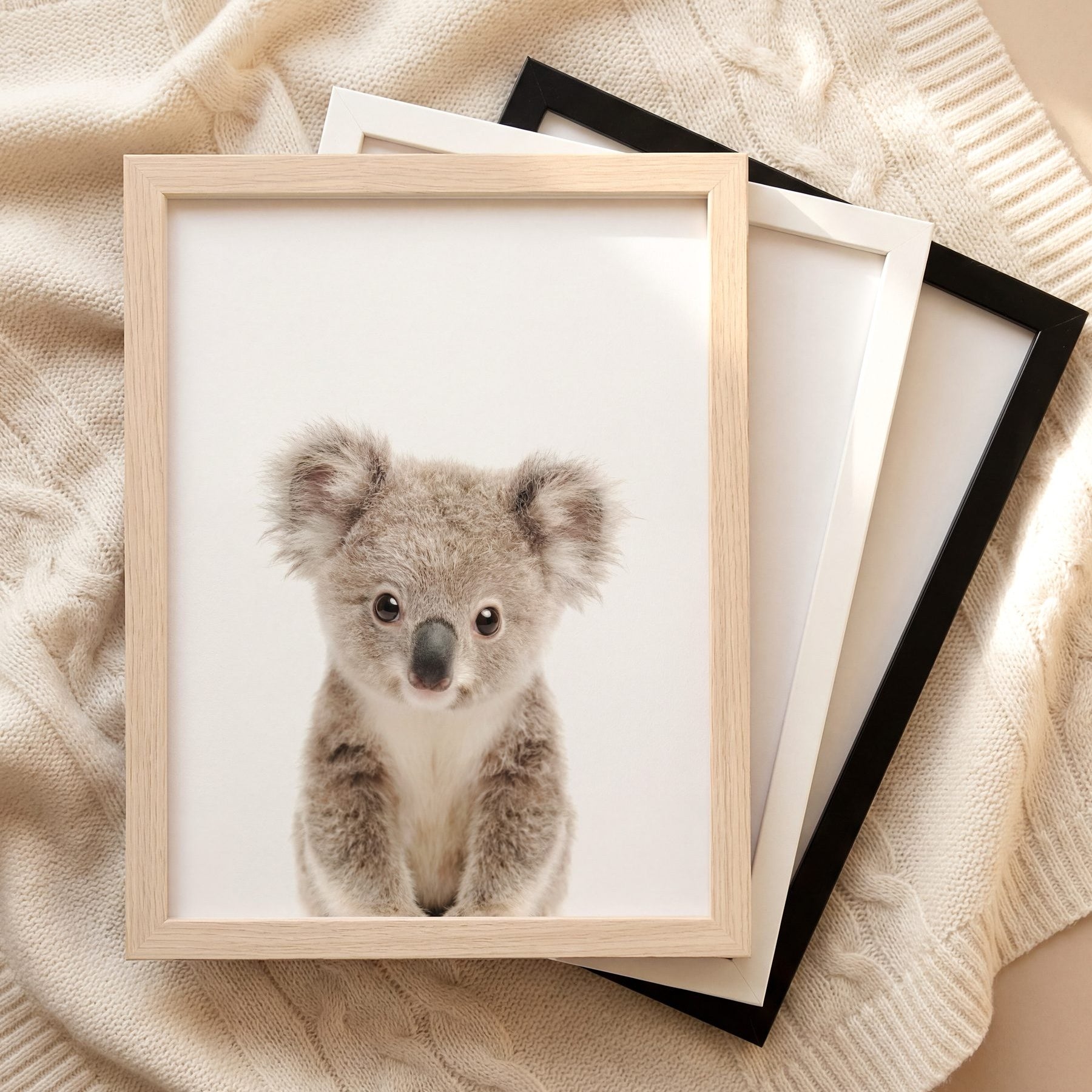 The Baby Animals 2026 Collection