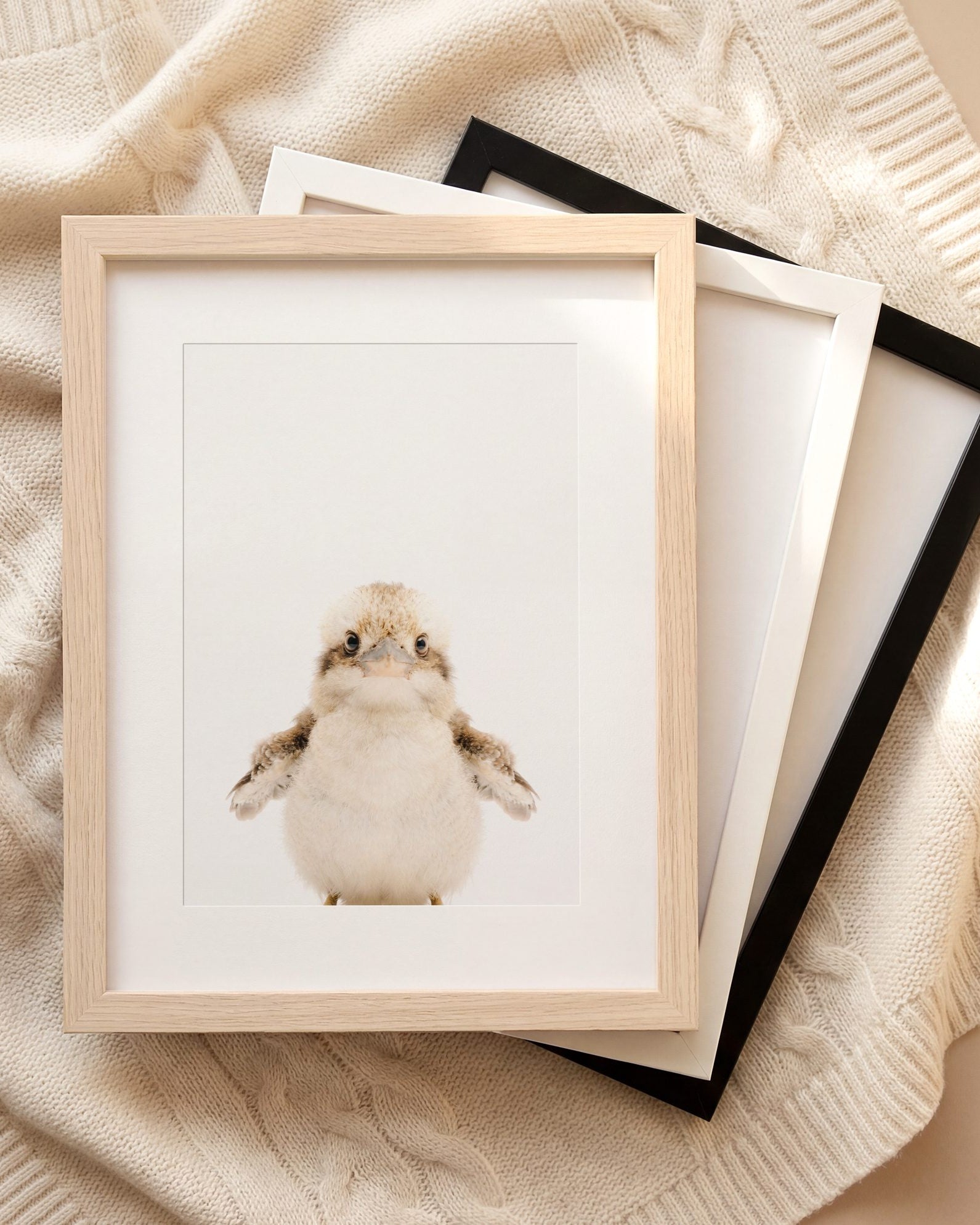 The Baby Animals 2026 Collection