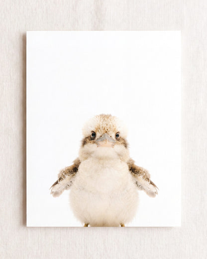 The Baby Animals 2026 Collection