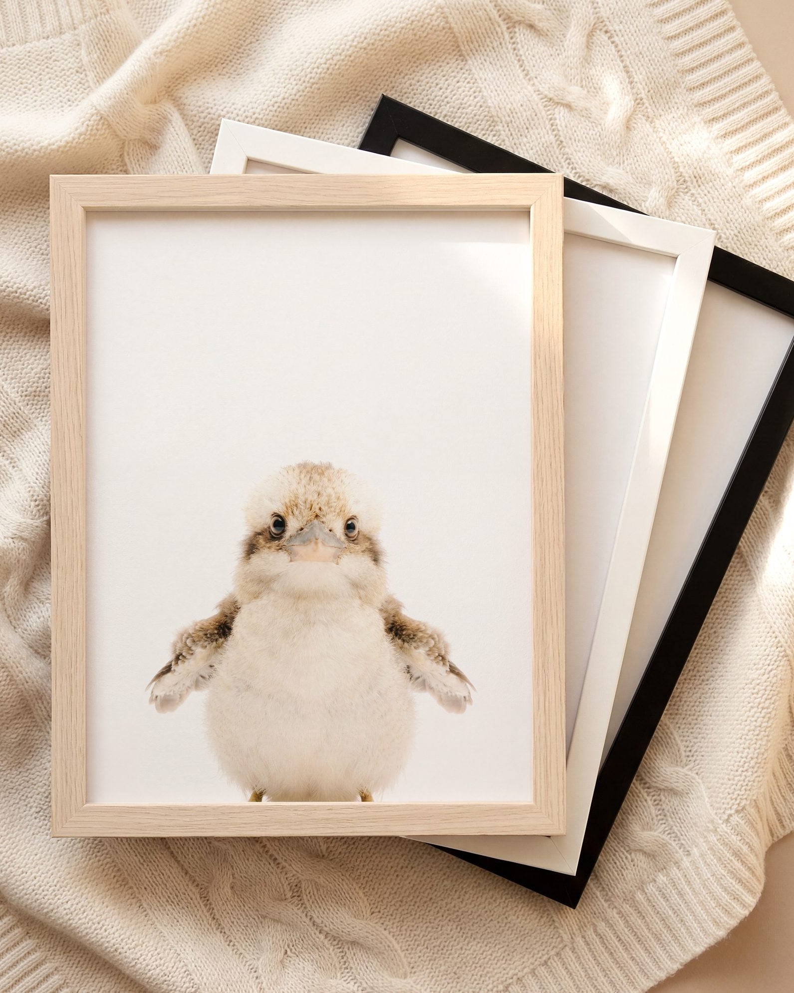 The Baby Animals 2026 Collection