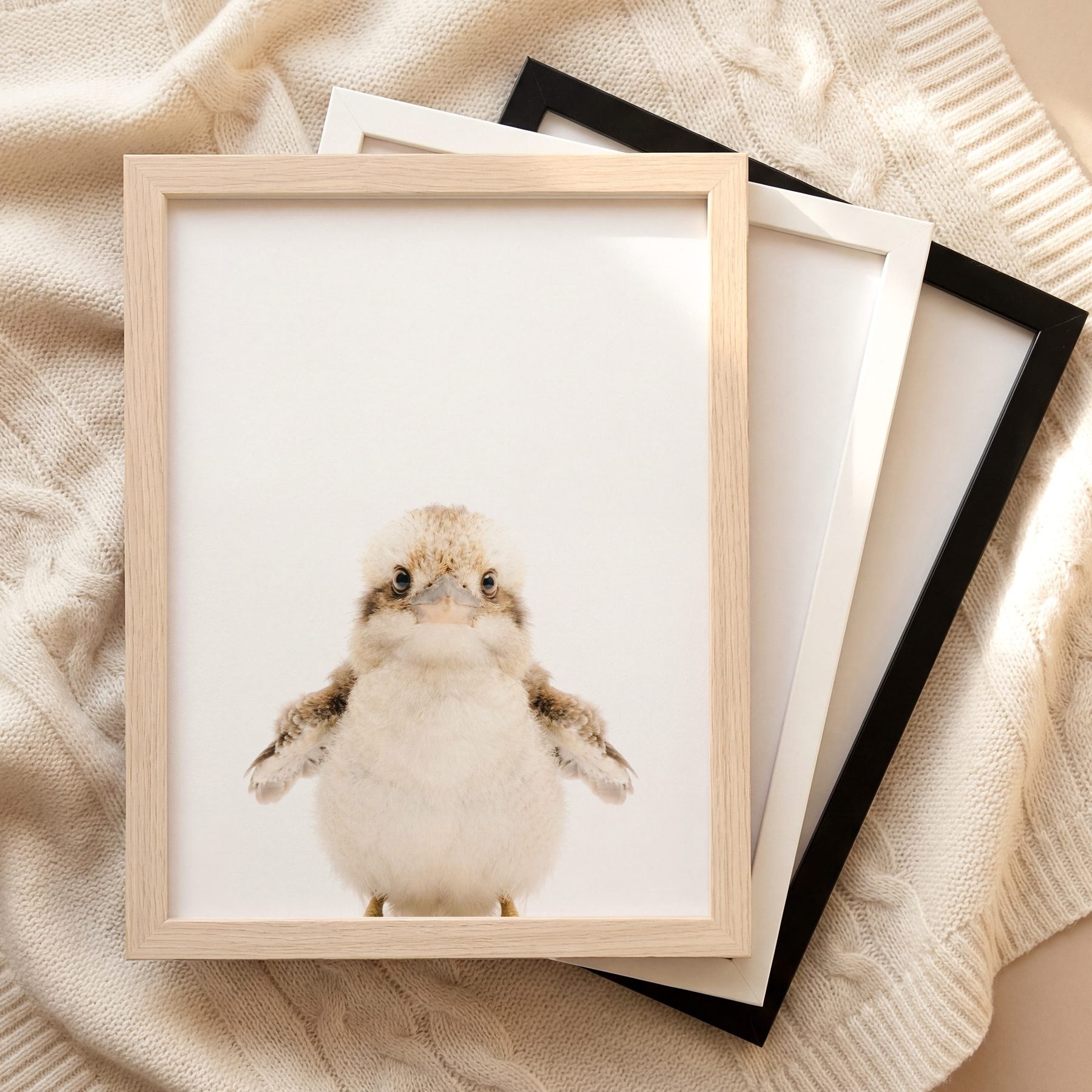 The Baby Animals 2026 Collection