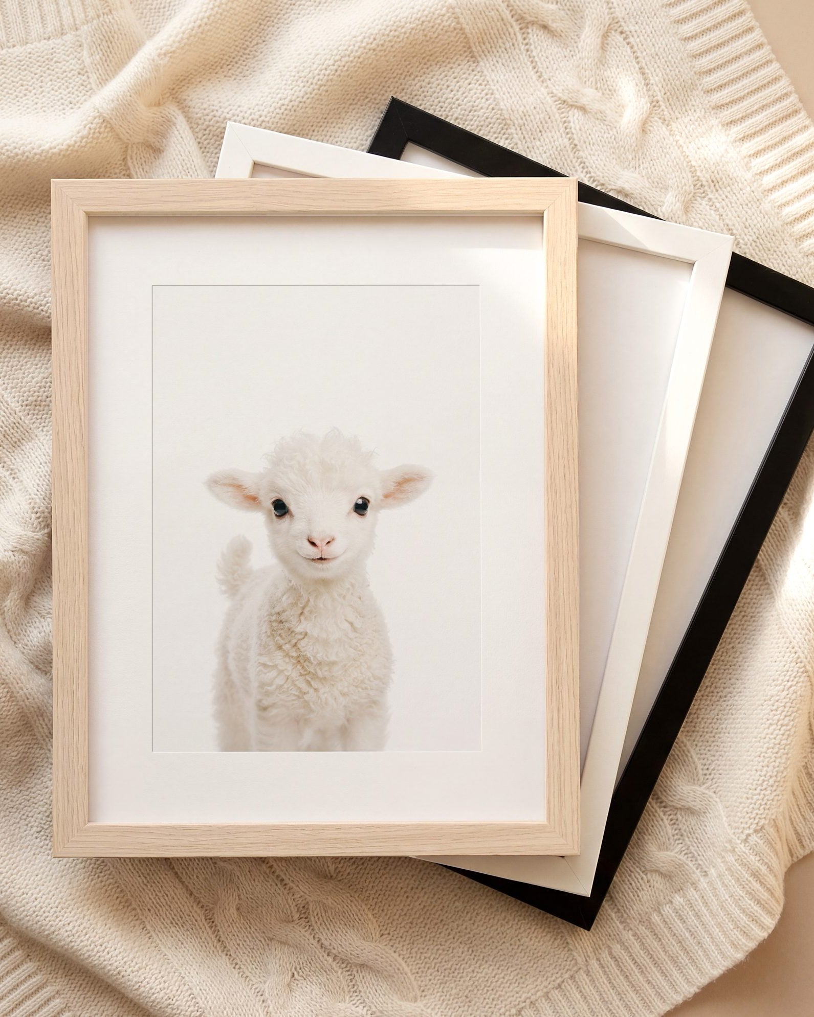 The Baby Animals 2026 Collection