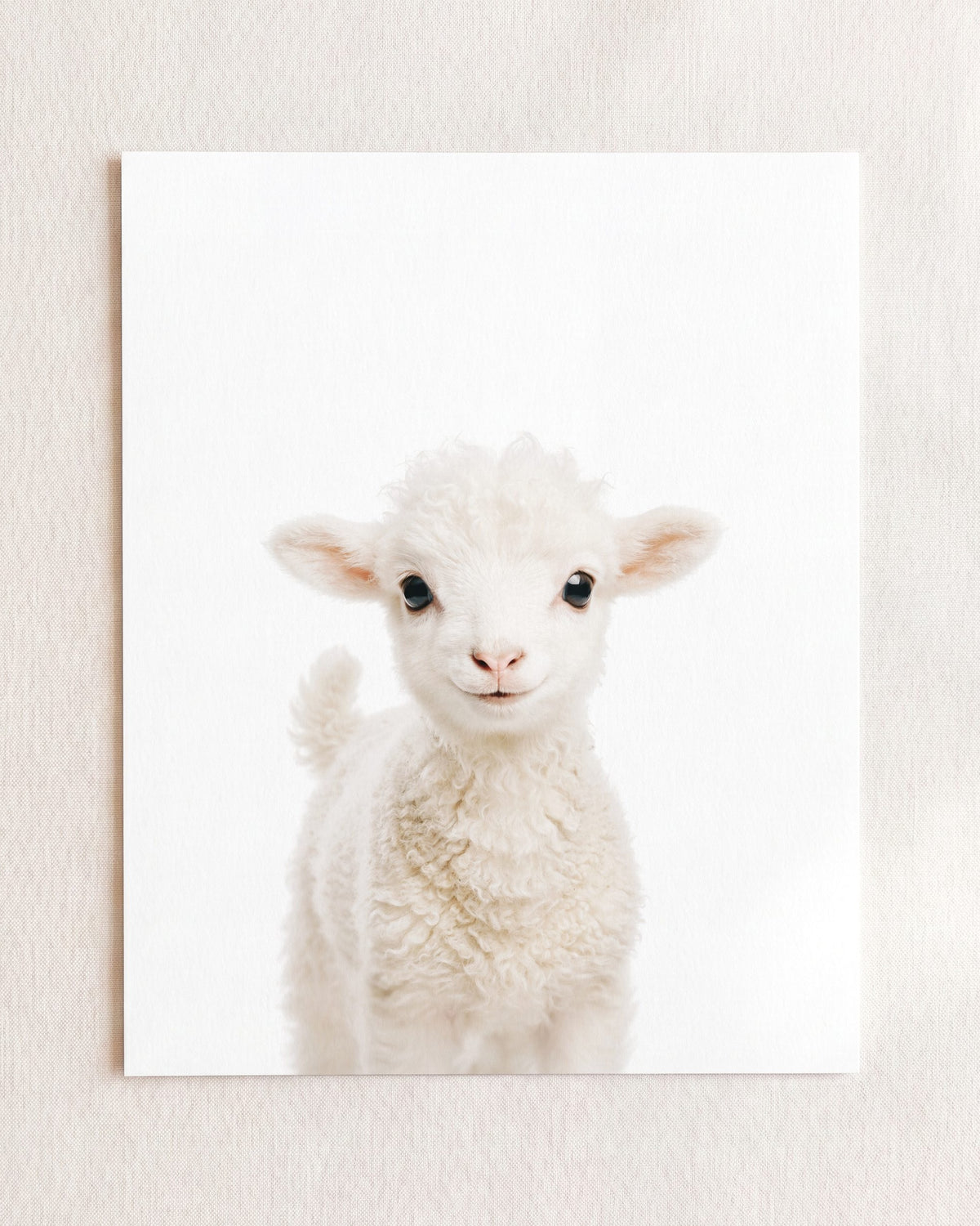 The Baby Animals 2026 Collection