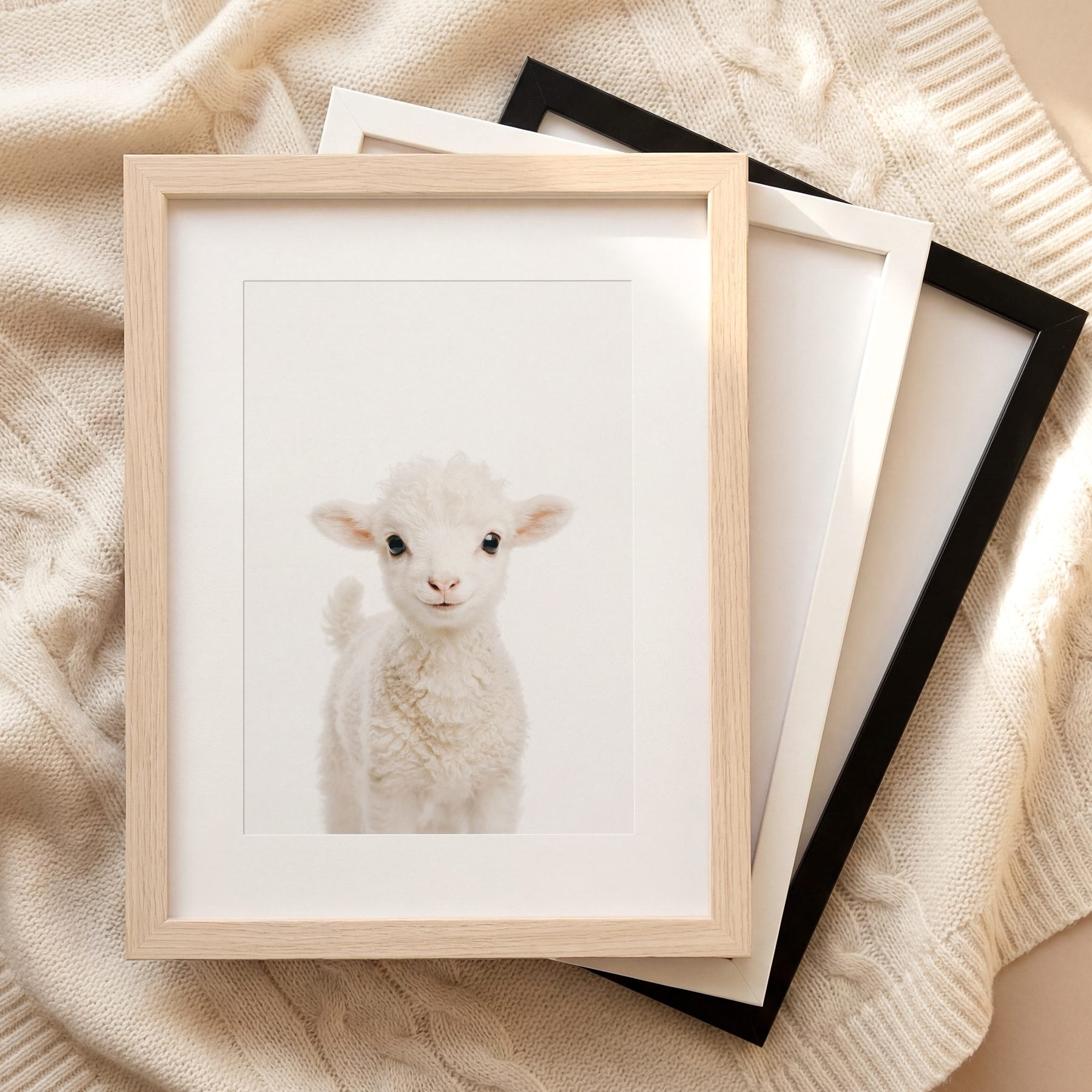 The Baby Animals 2026 Collection