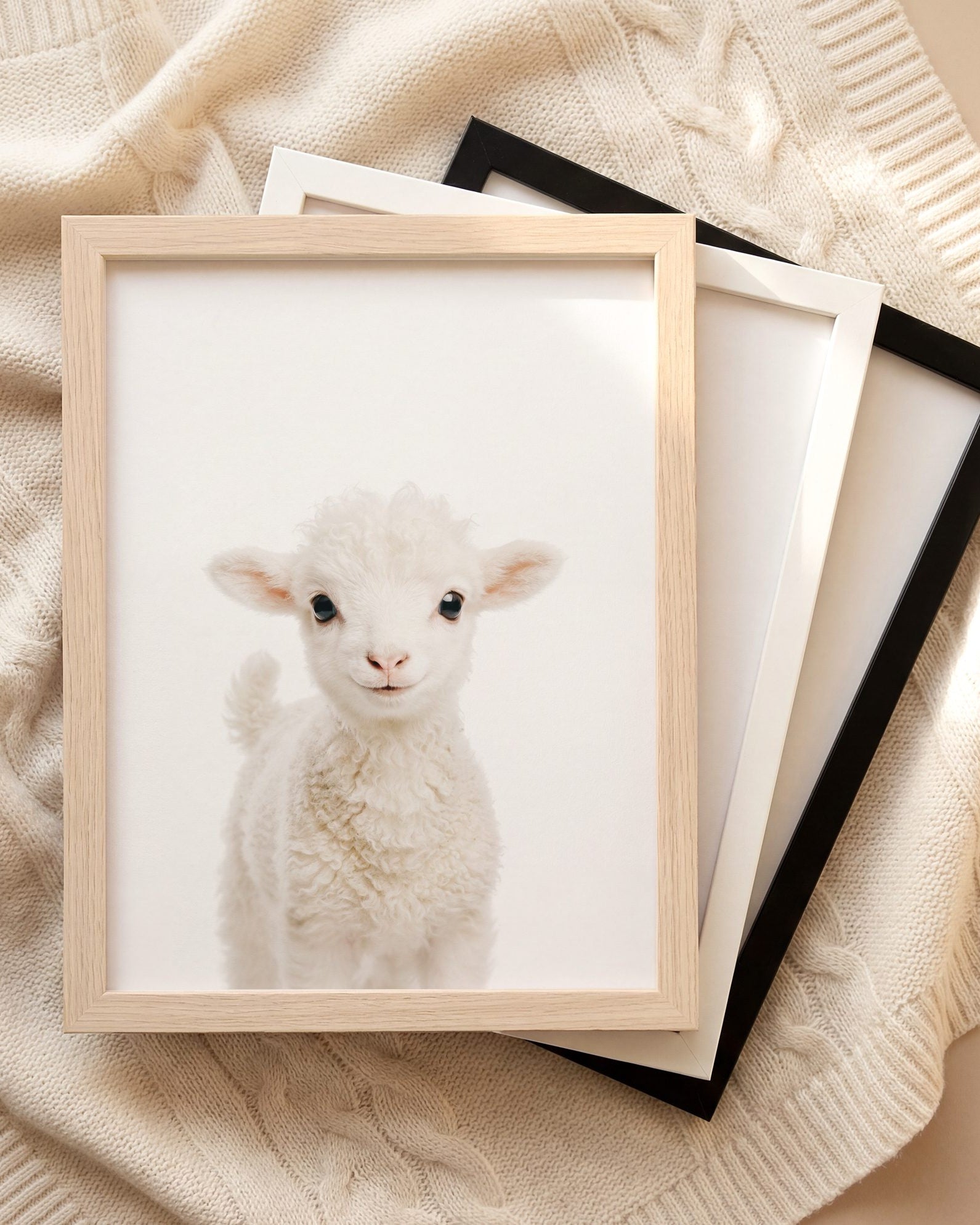The Baby Animals 2026 Collection