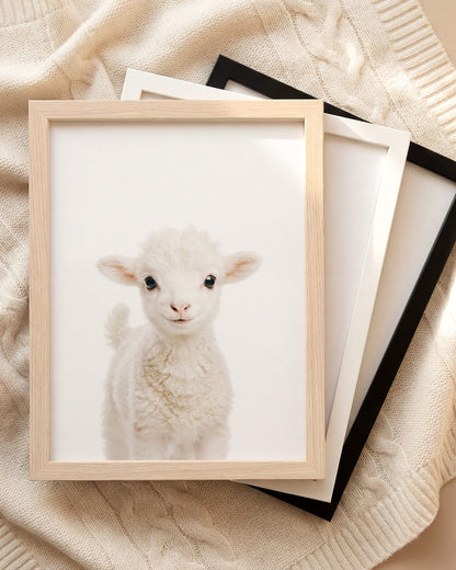 The Baby Animals 2026 Collection