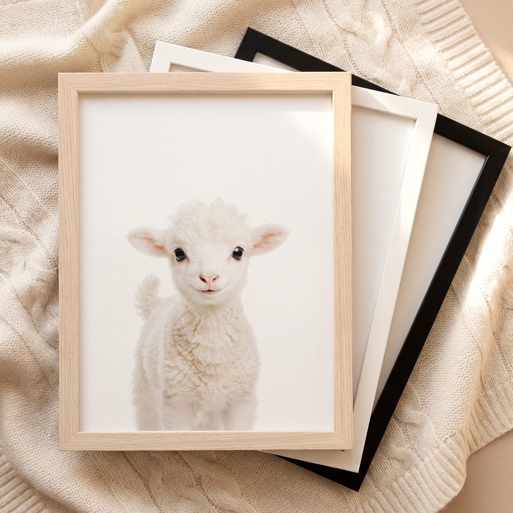 The Baby Animals 2026 Collection