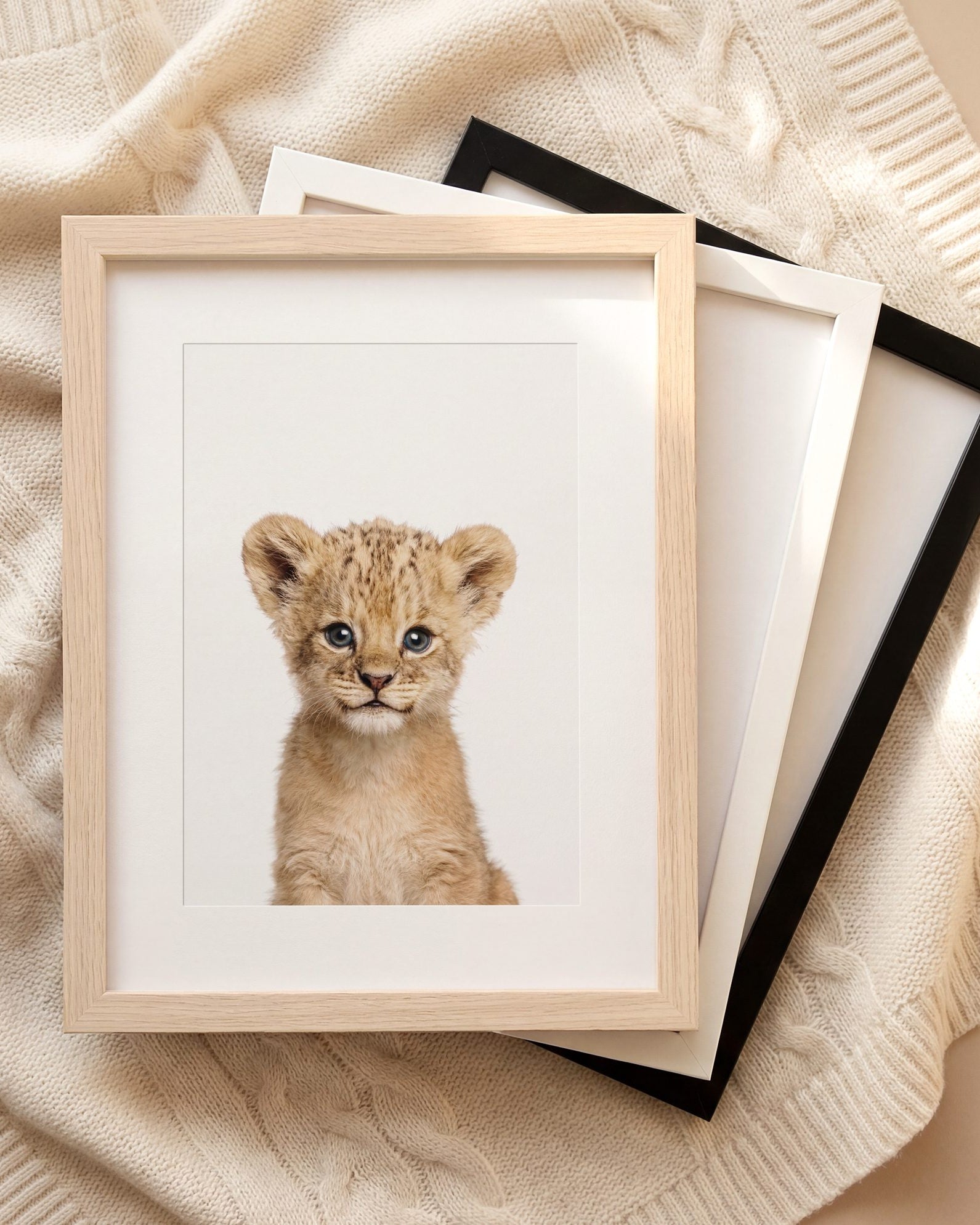 The Baby Animals 2026 Collection