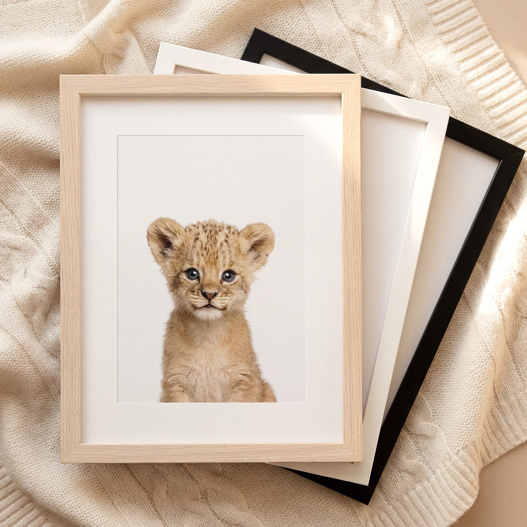 The Baby Animals 2026 Collection