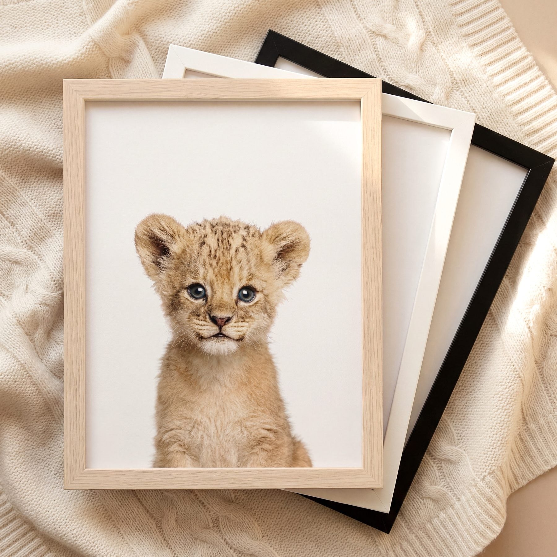 The Baby Animals 2026 Collection