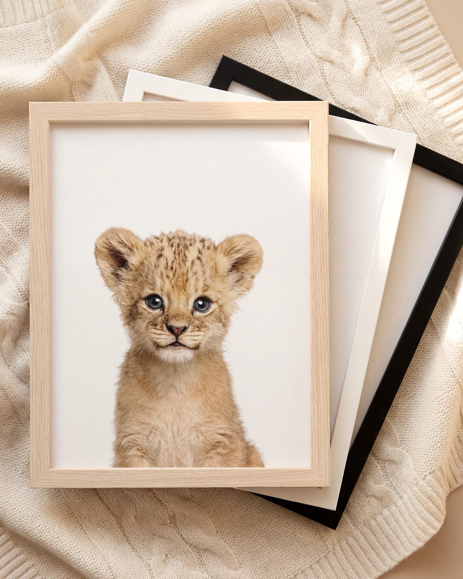 The Baby Animals 2026 Collection